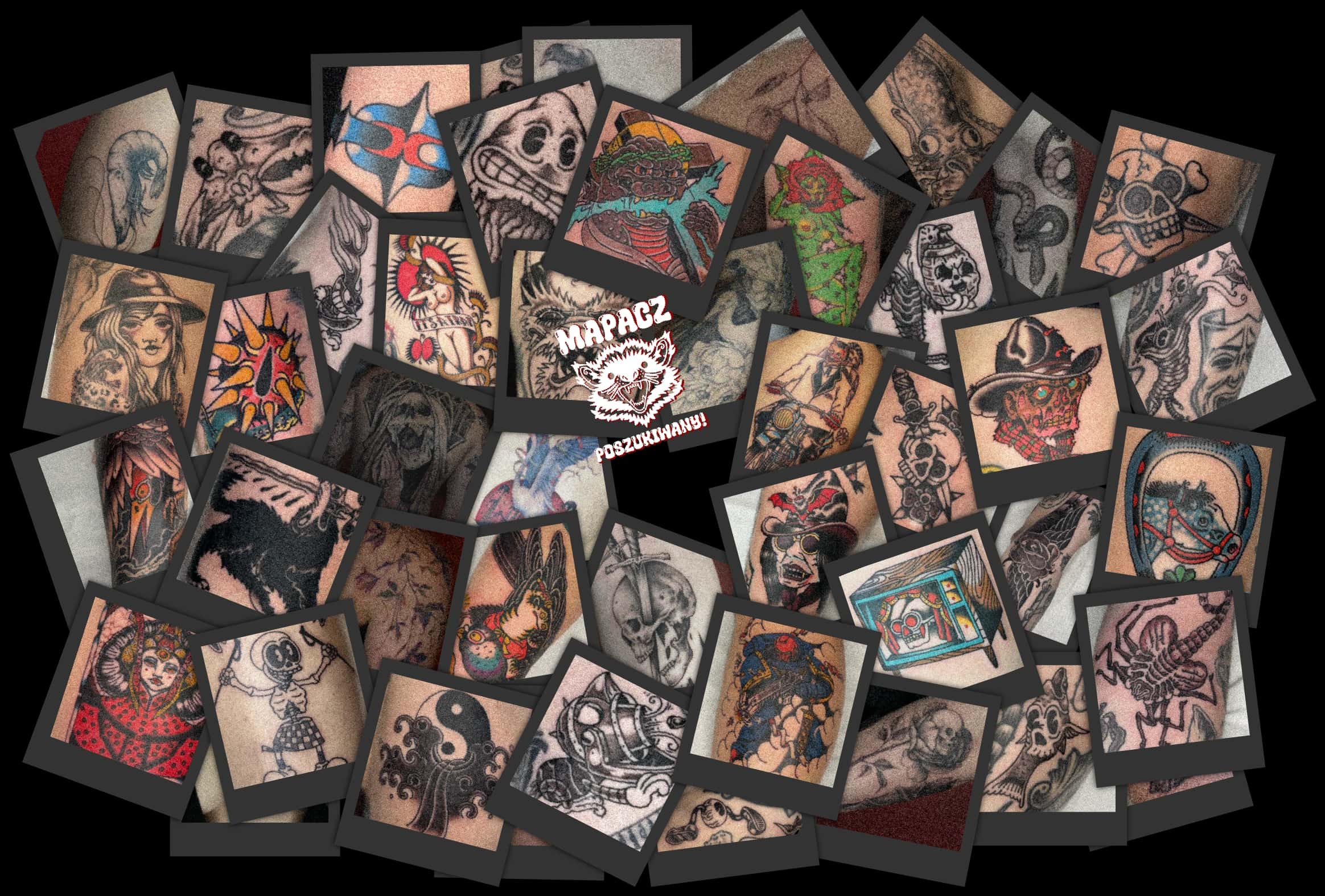 Mapache studio