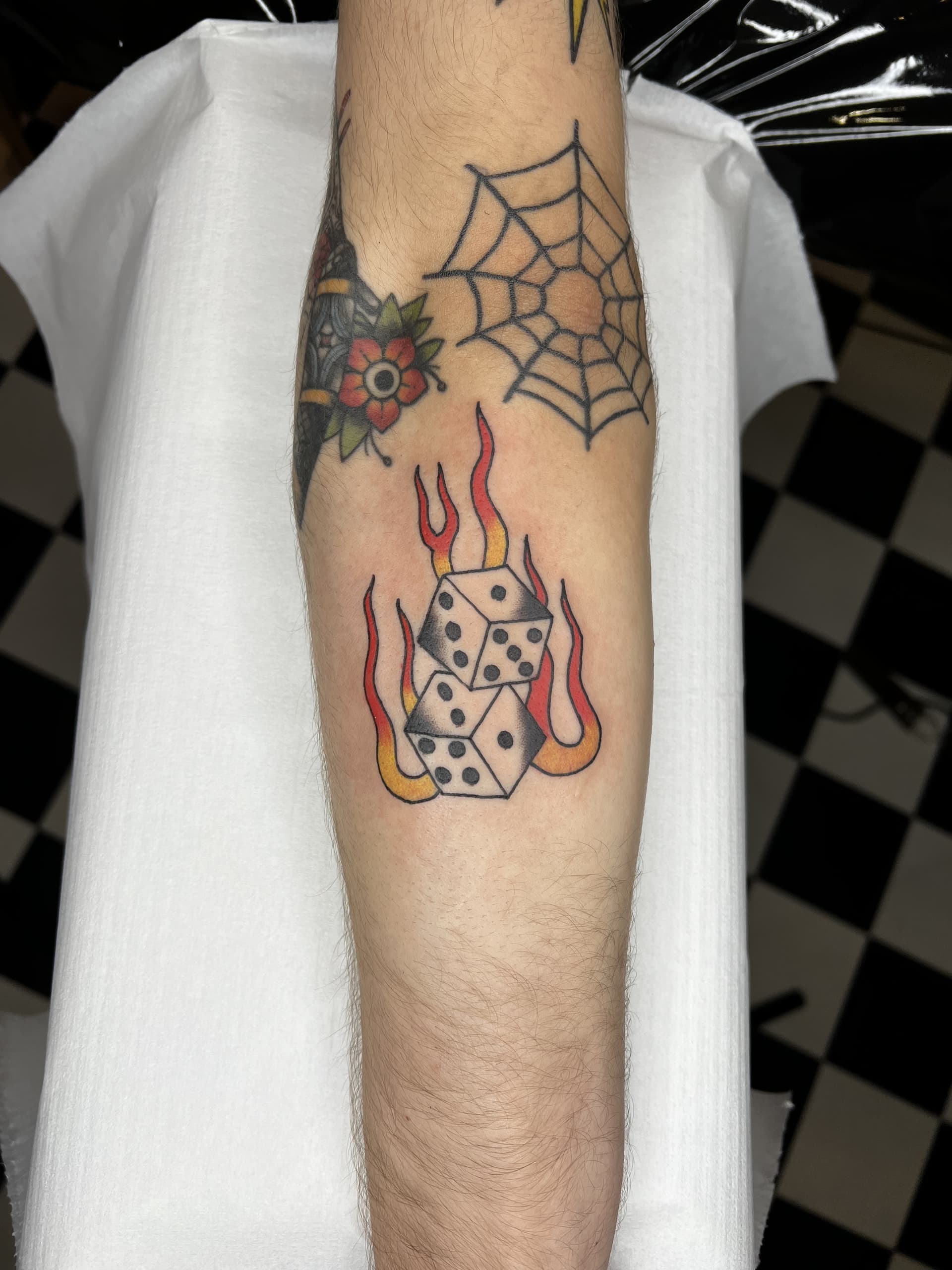 Mapache Studio - Artyści