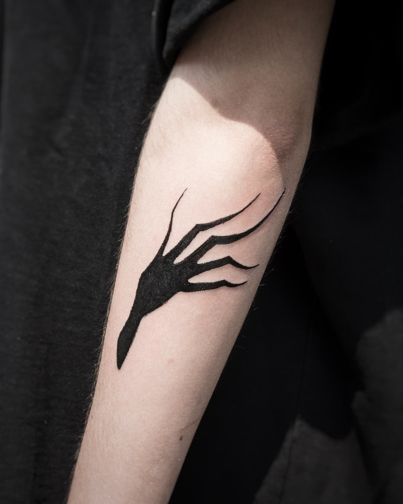 Mapache Studio - Artyści