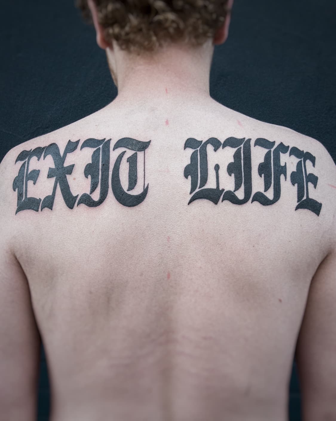 Mapache Studio - Artyści