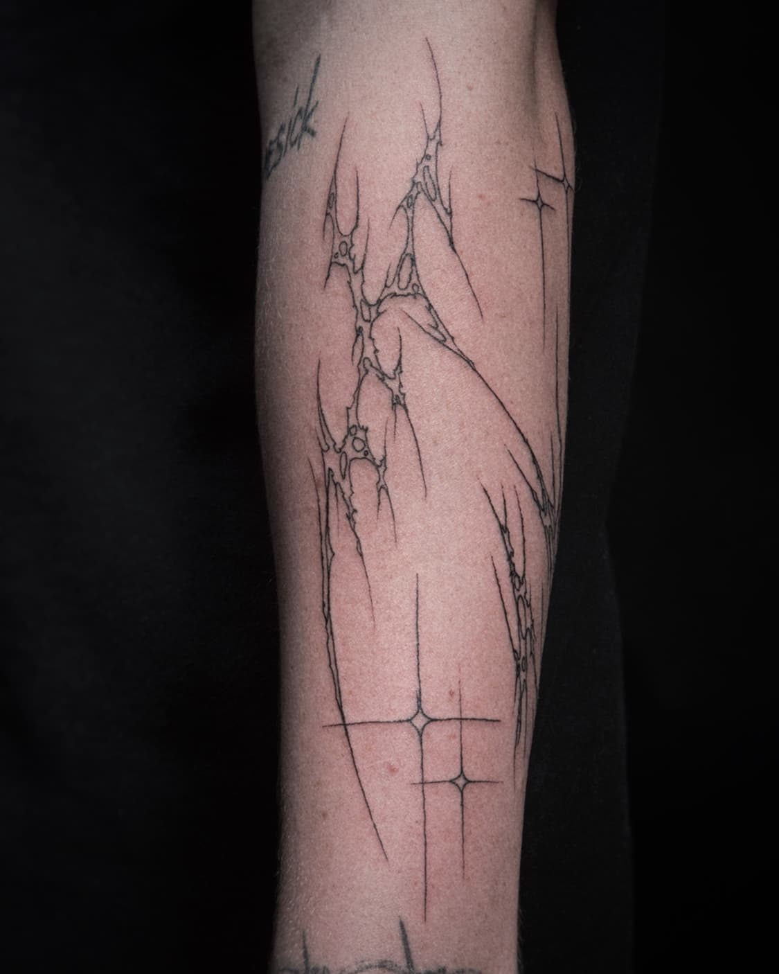 Mapache Studio - Artyści