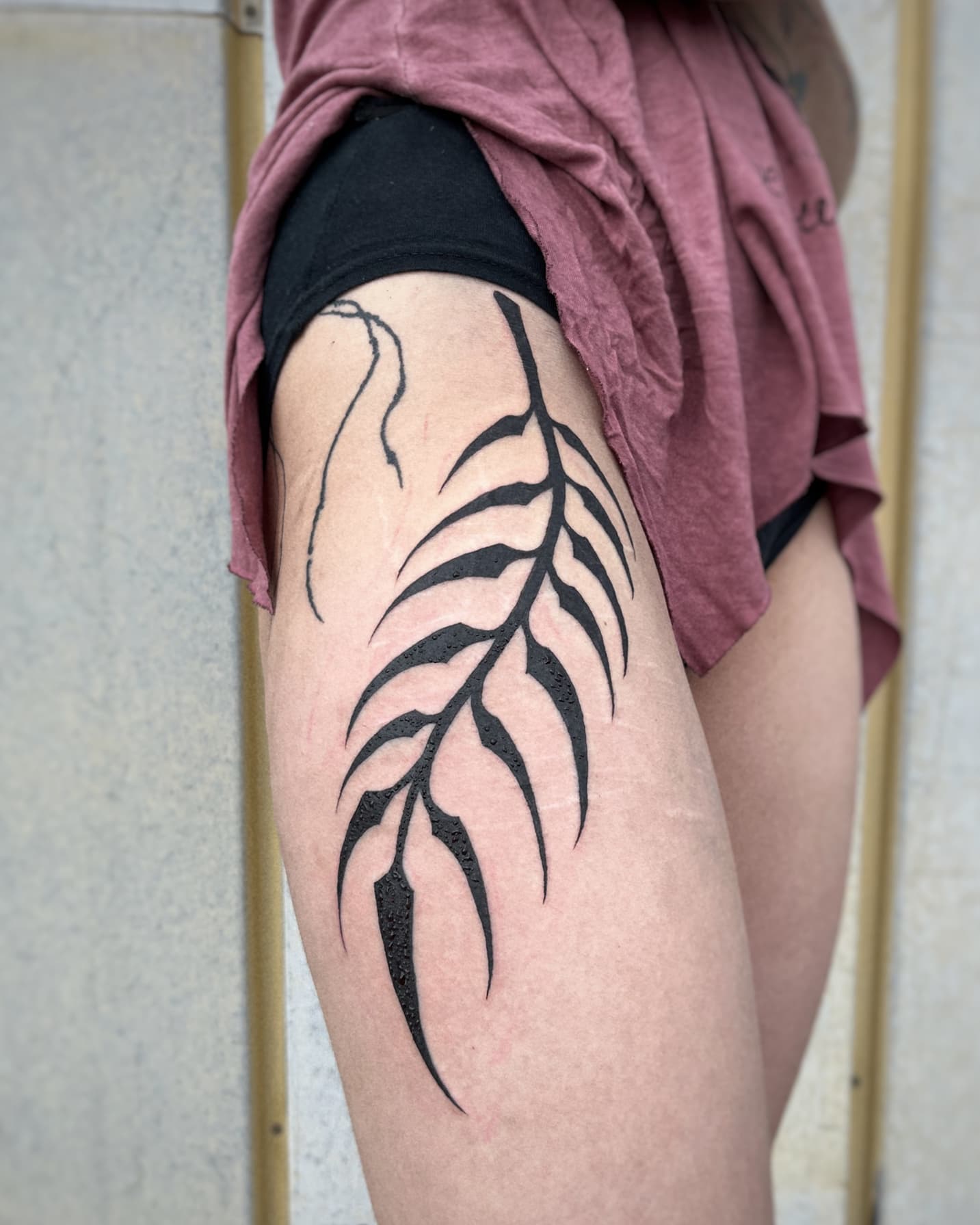 Mapache Studio - Artyści