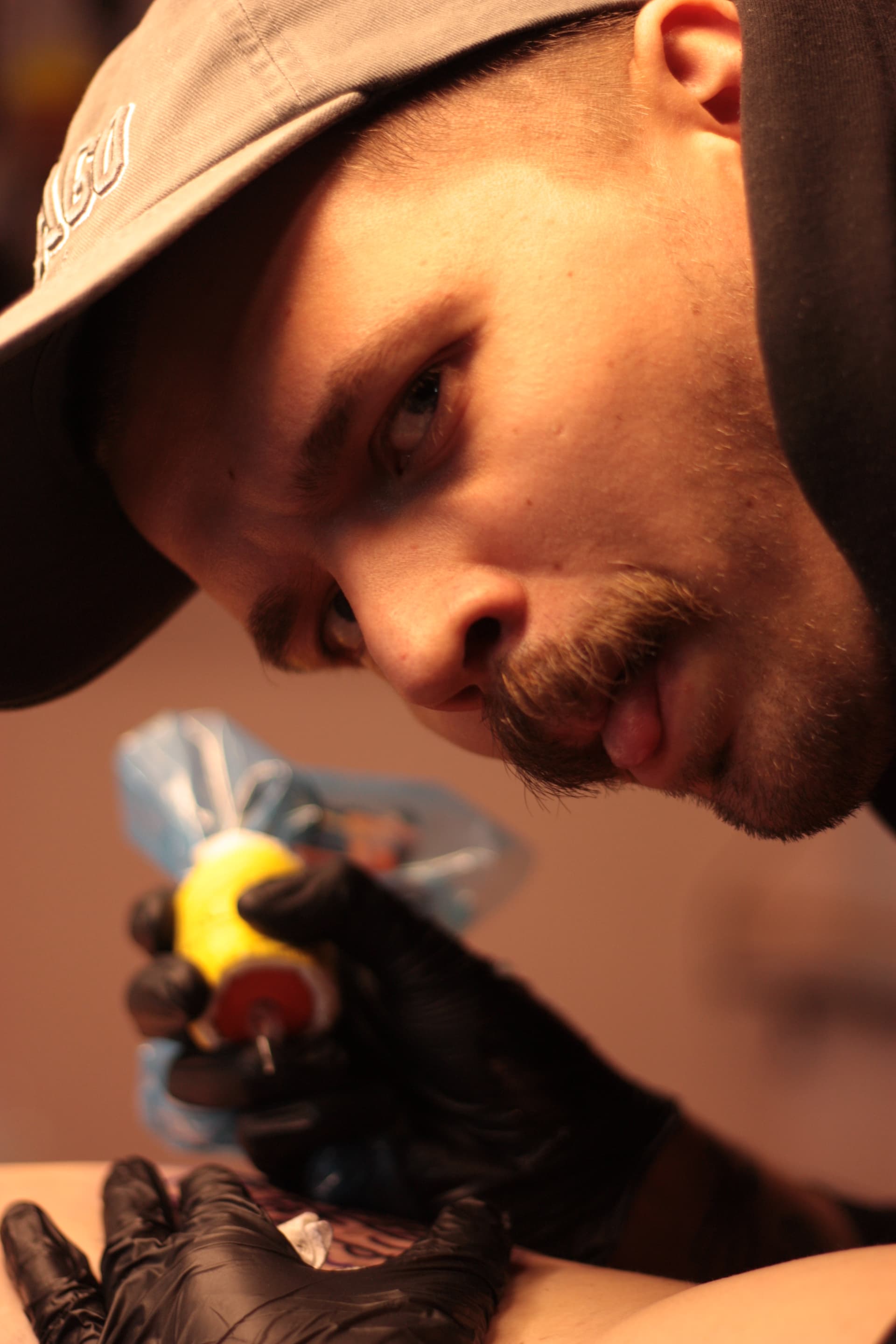 Mapache Studio - Artyści