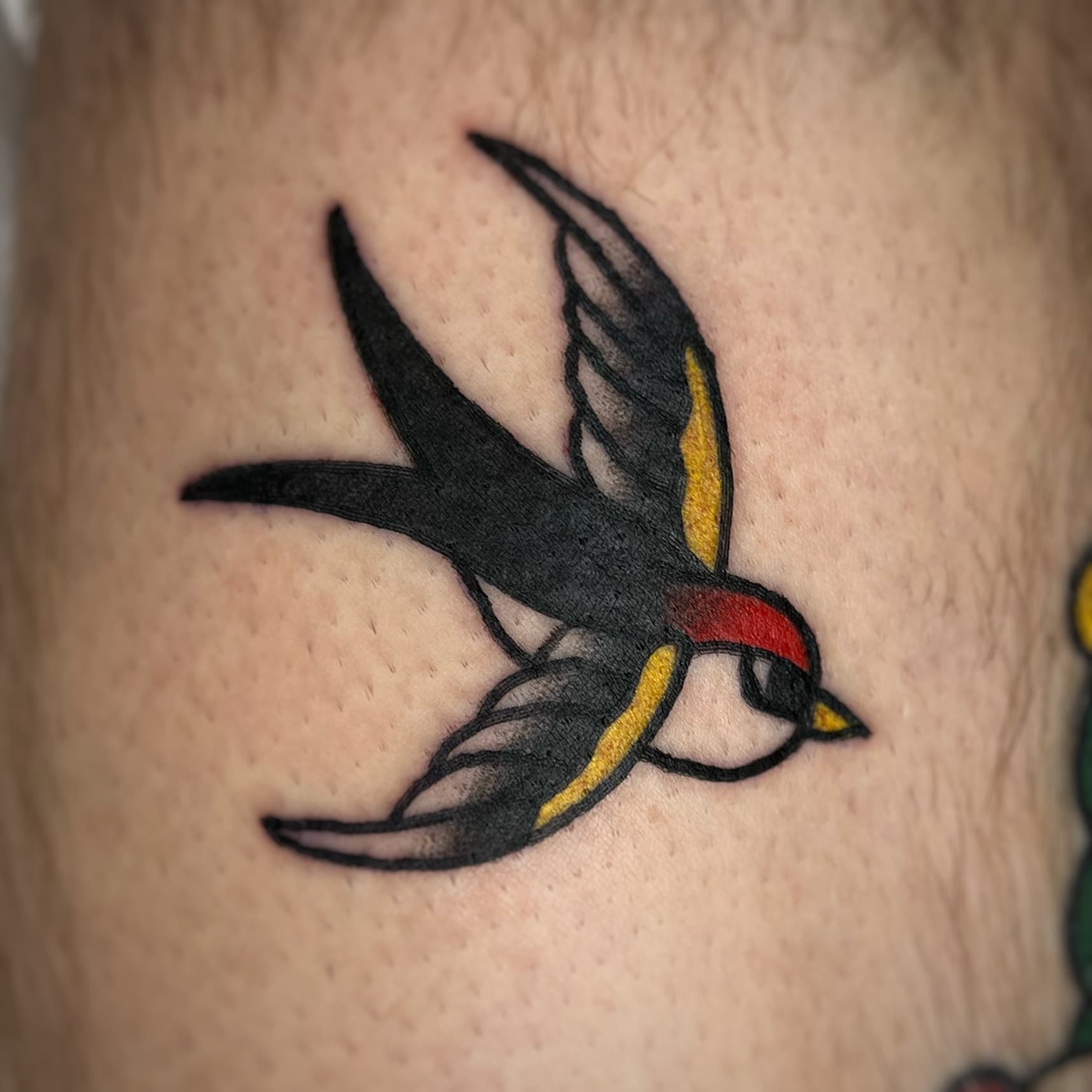 Mapache Studio - Artyści