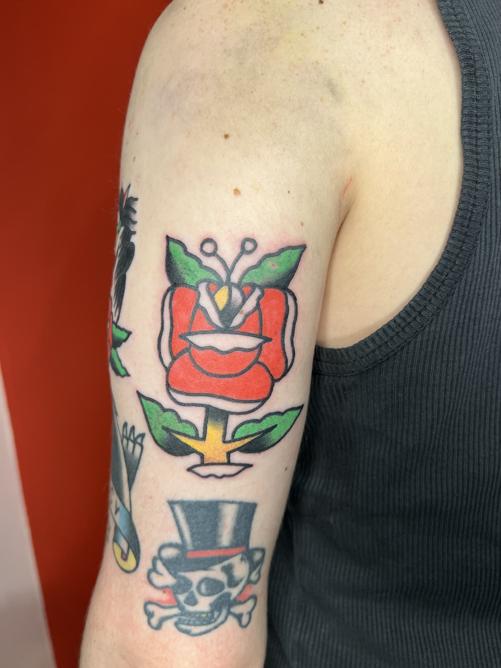 Mapache Studio - Artyści