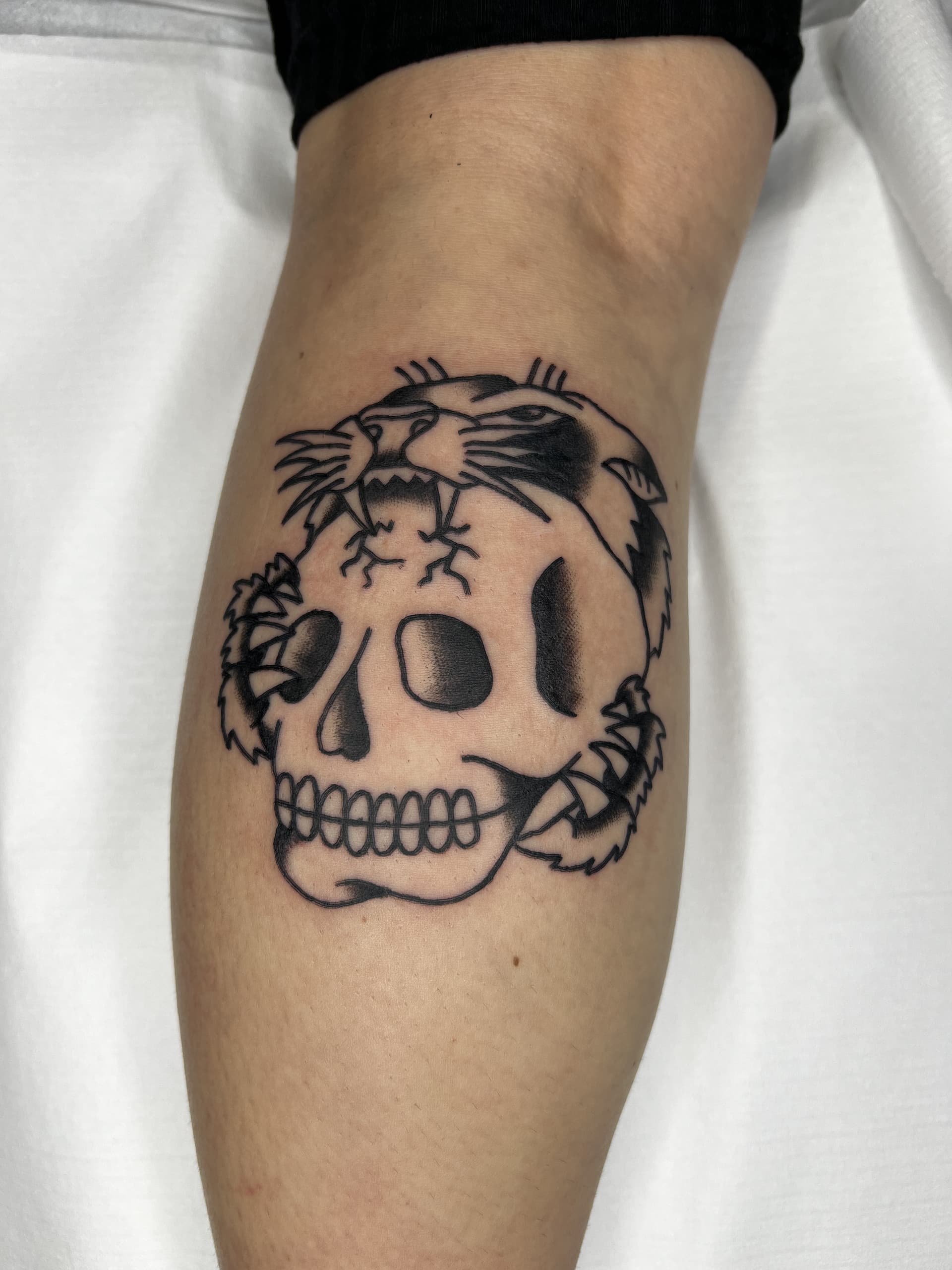 Mapache Studio - Artyści