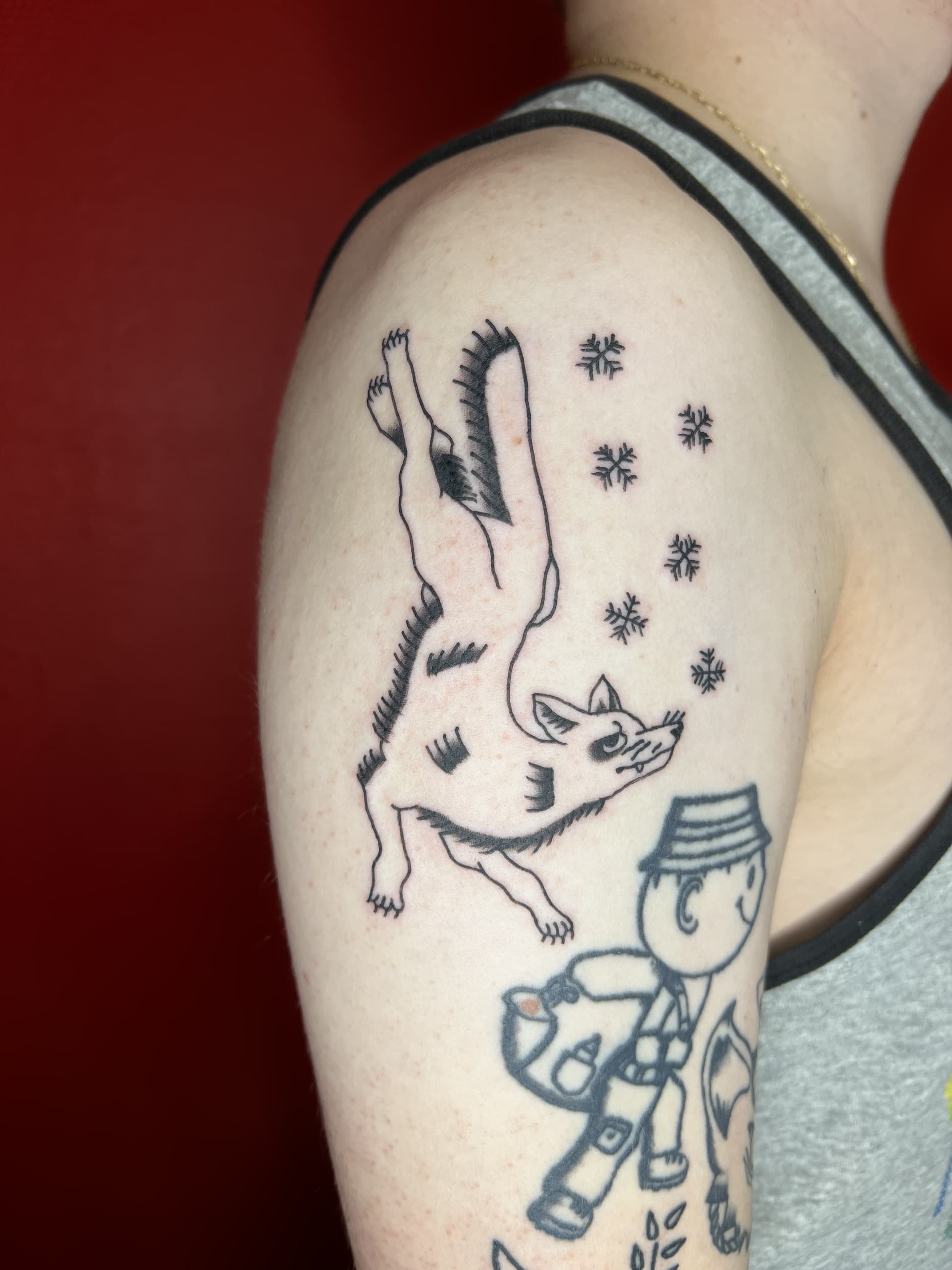 Mapache Studio - Artyści