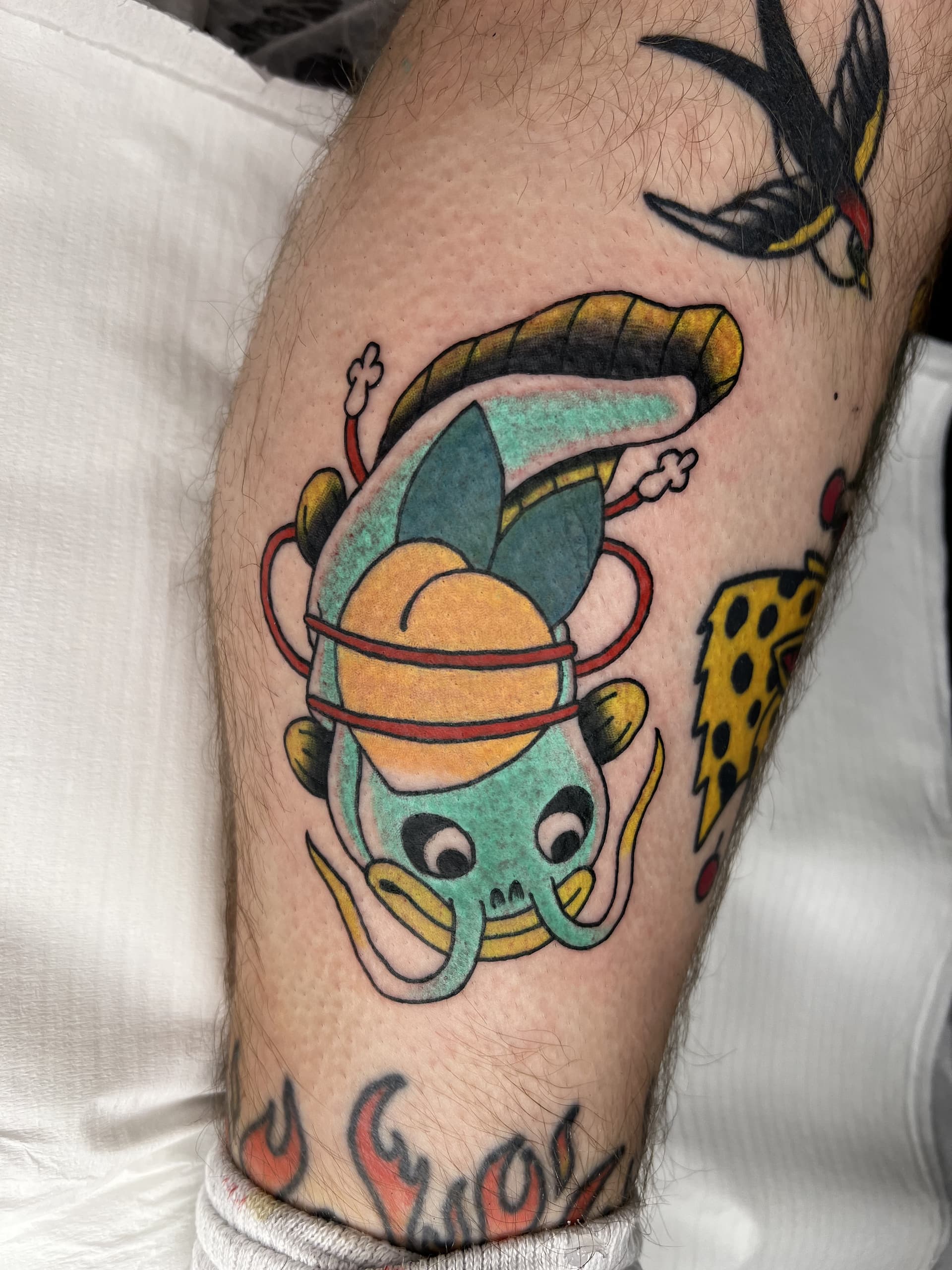 Mapache Studio - Artyści