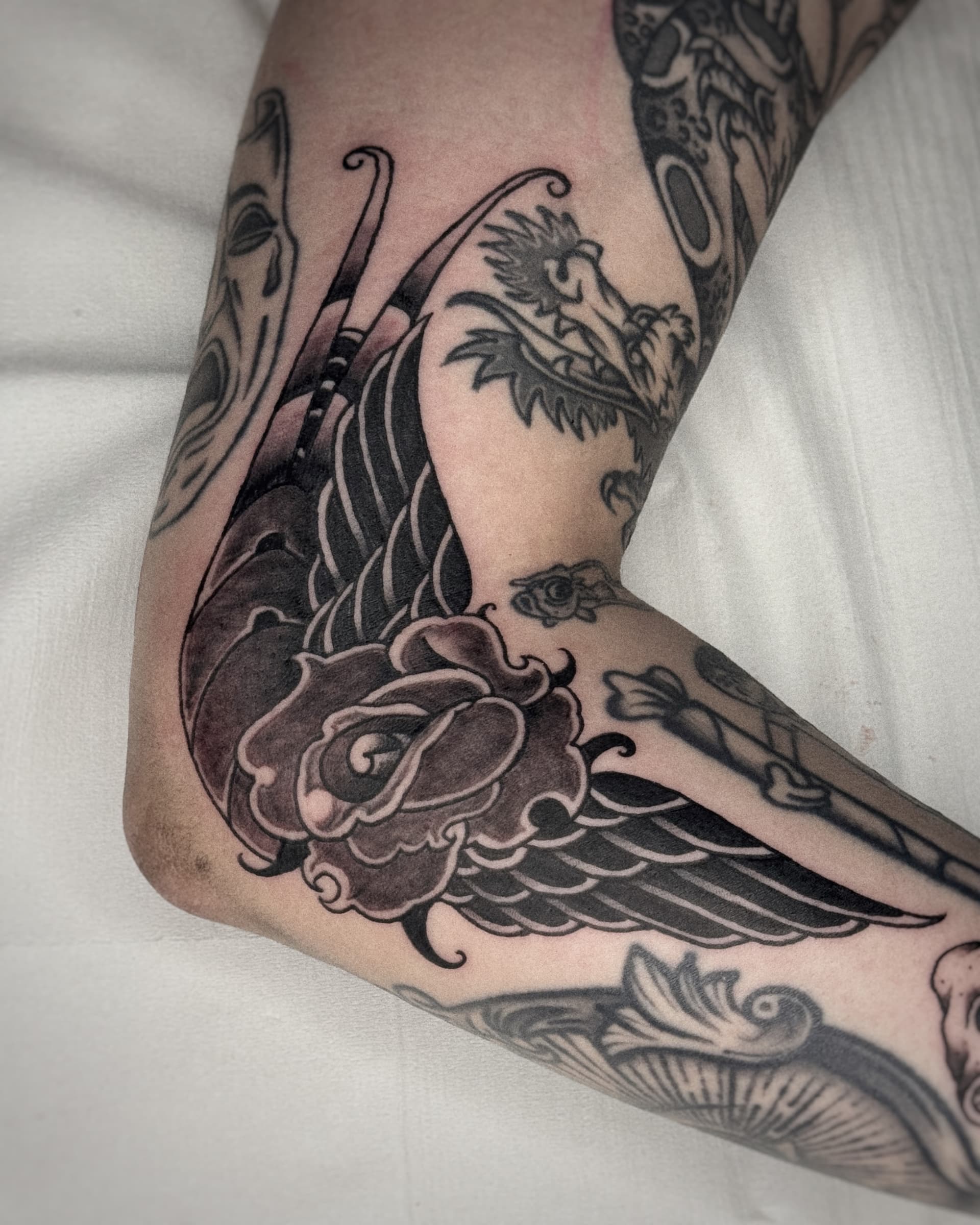 Mapache Studio - Artyści