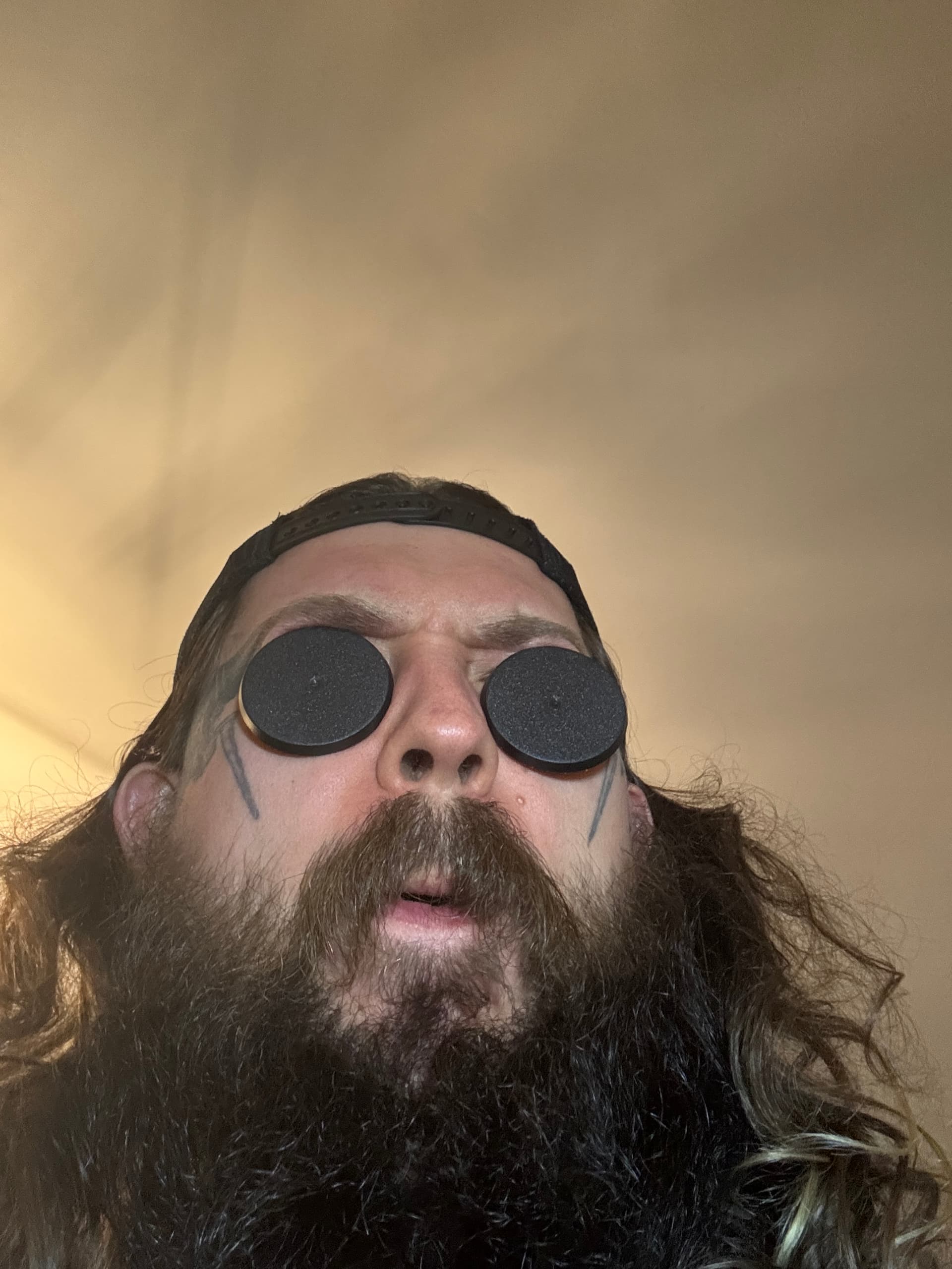 Mapache Studio - Artyści