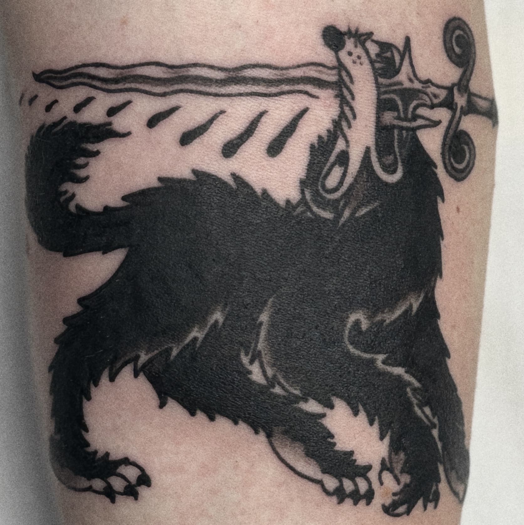 Mapache Studio - Artyści