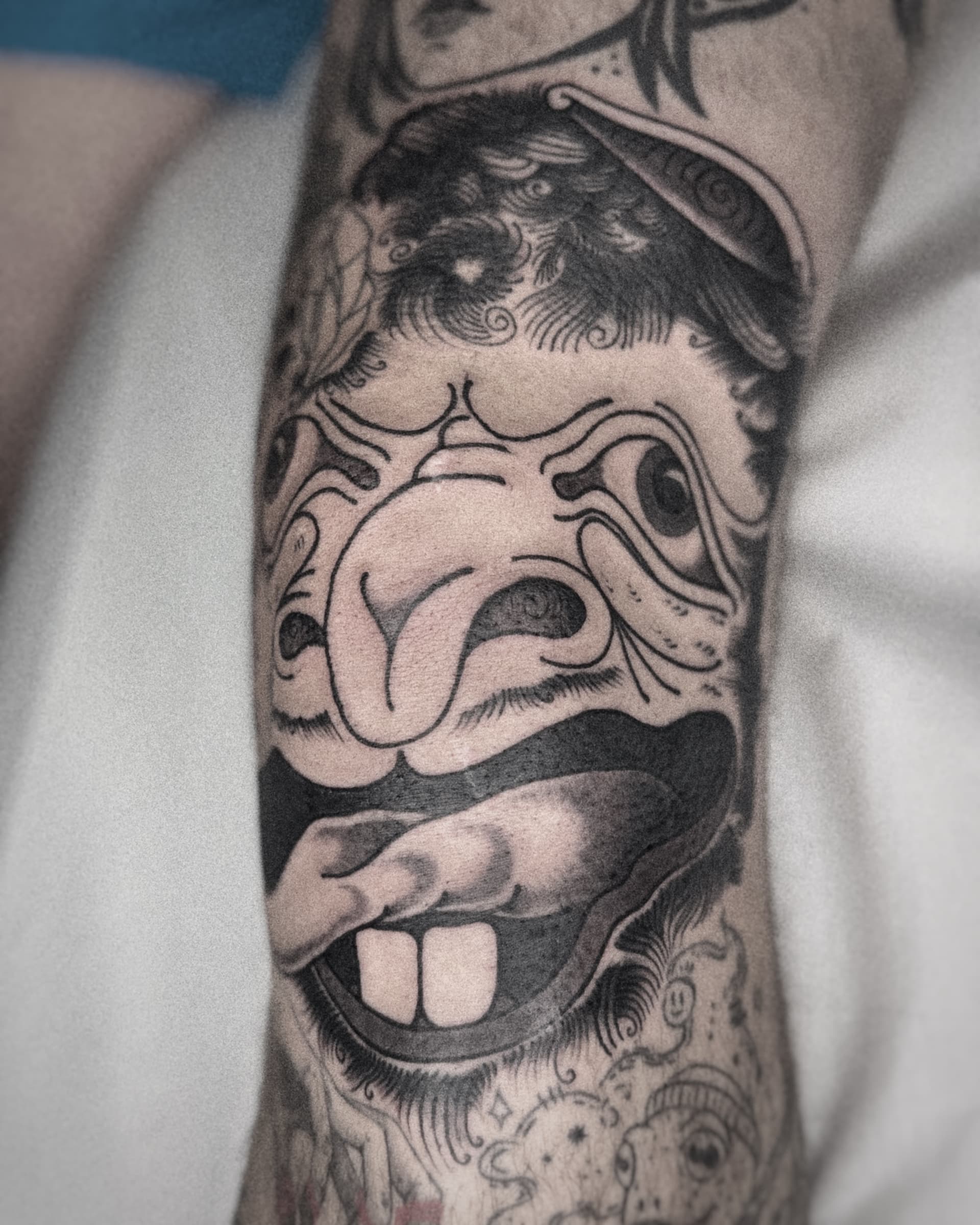 Mapache Studio - Artyści