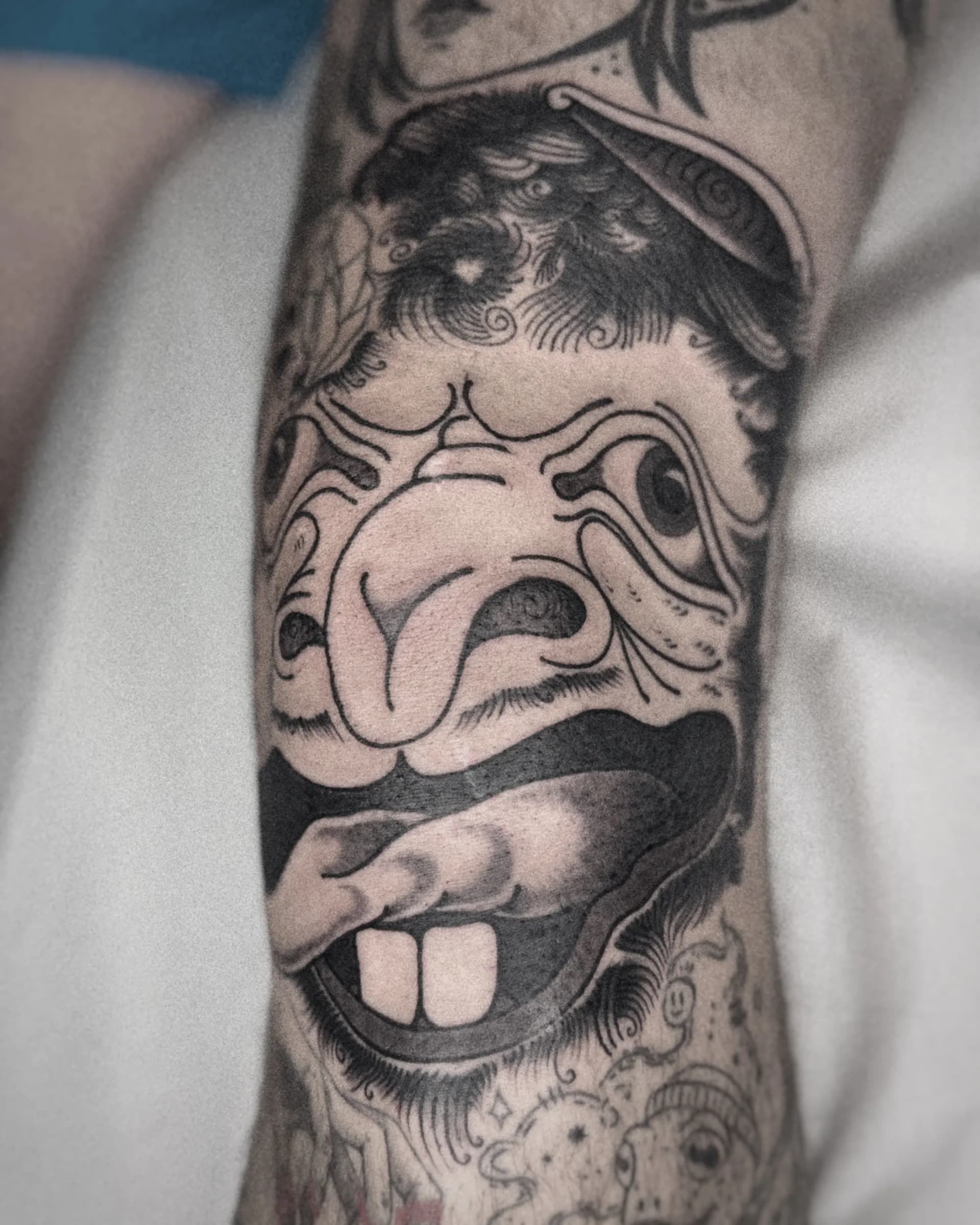 Mapache Studio - Artyści