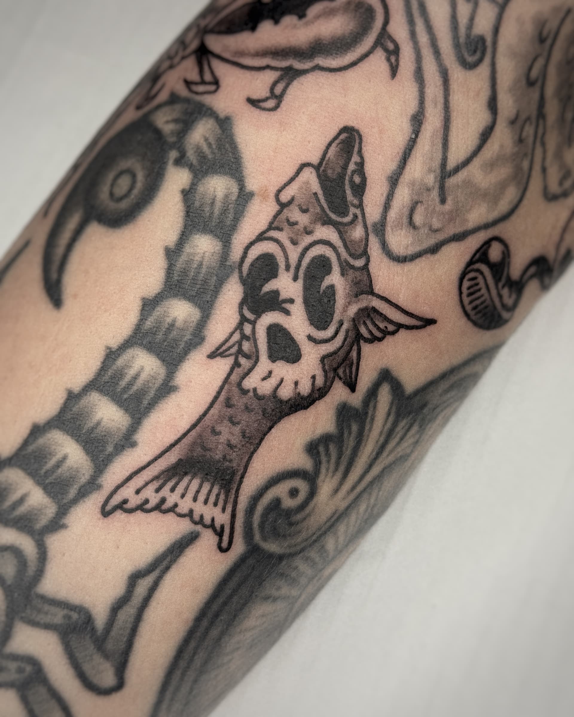 Mapache Studio - Artyści