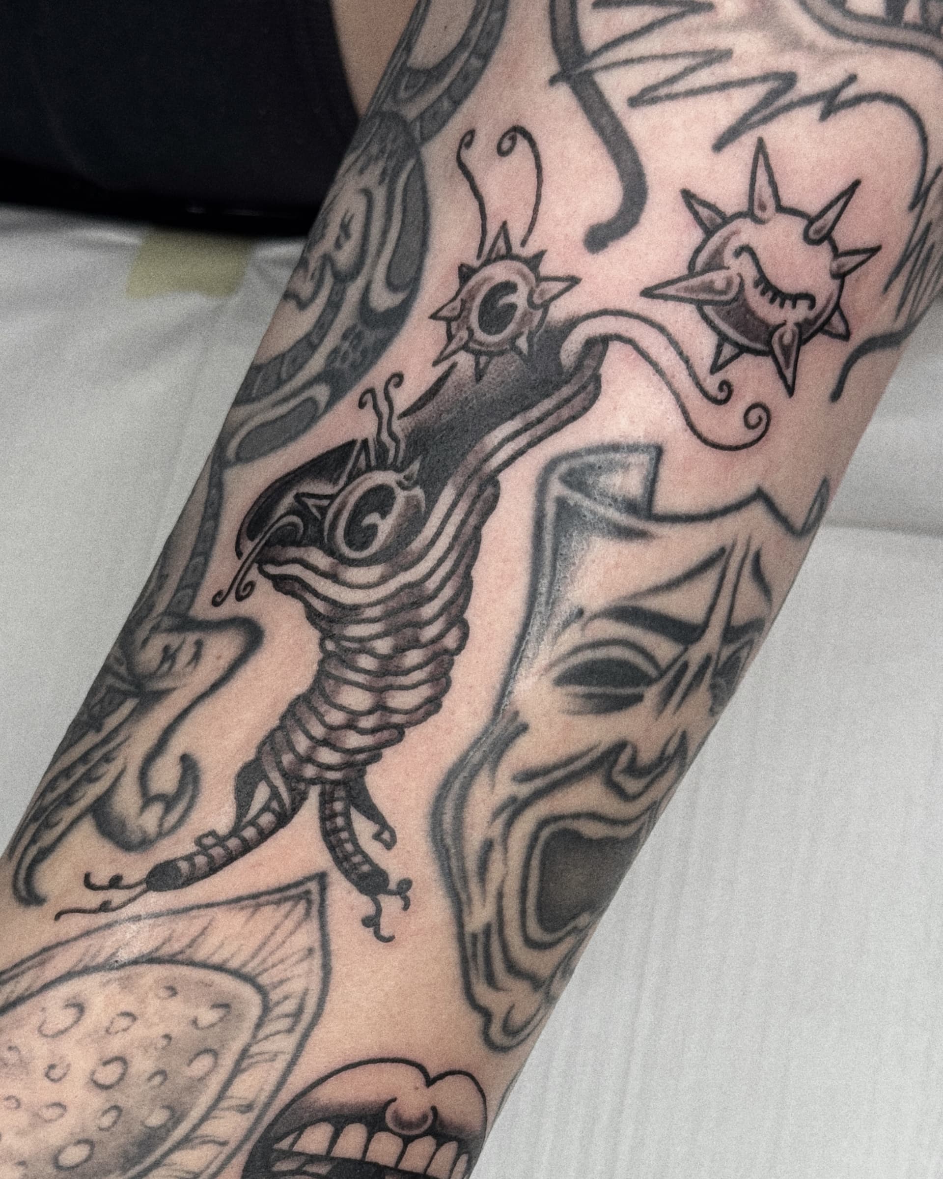 Mapache Studio - Artyści