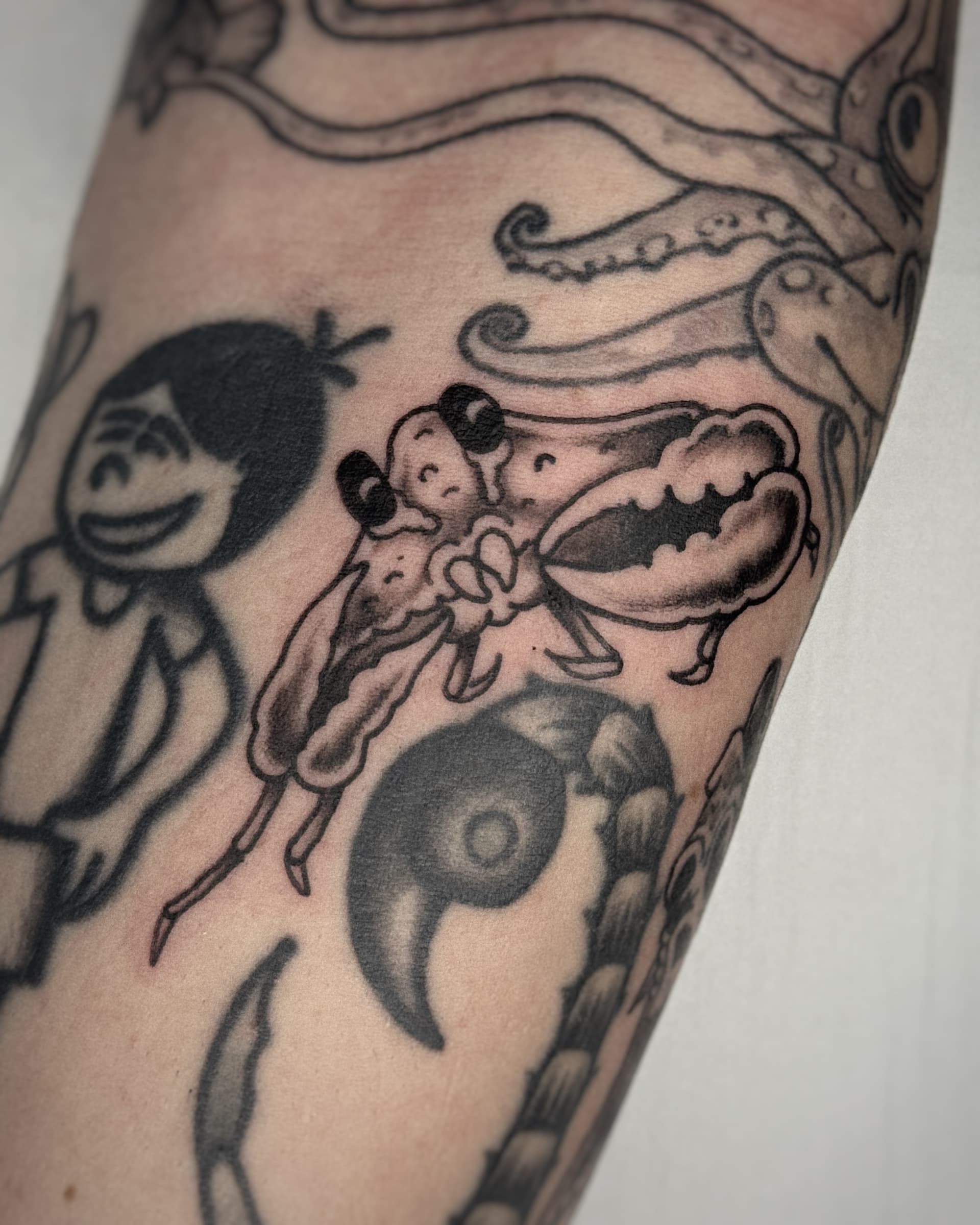 Mapache Studio - Artyści