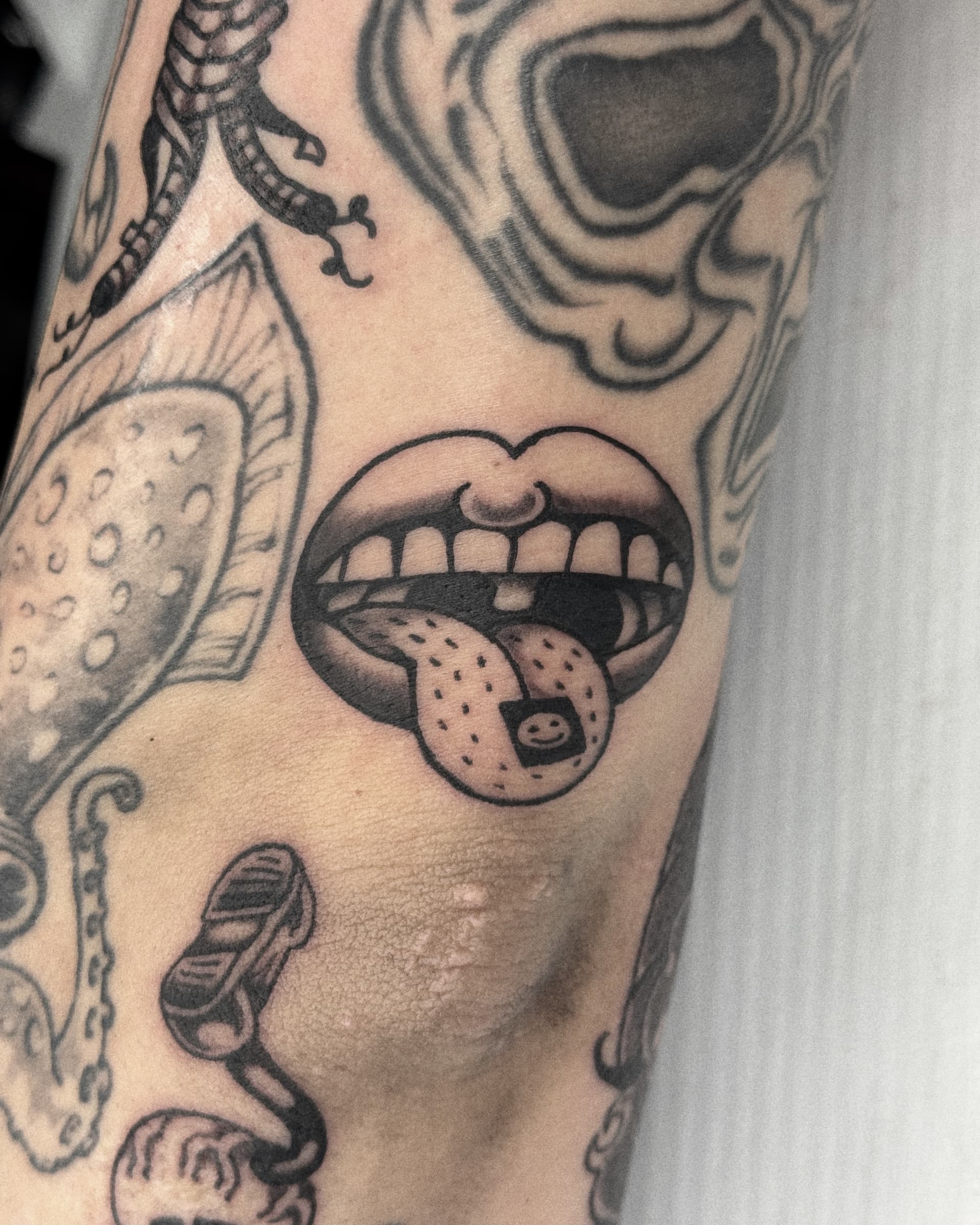 Mapache Studio - Artyści