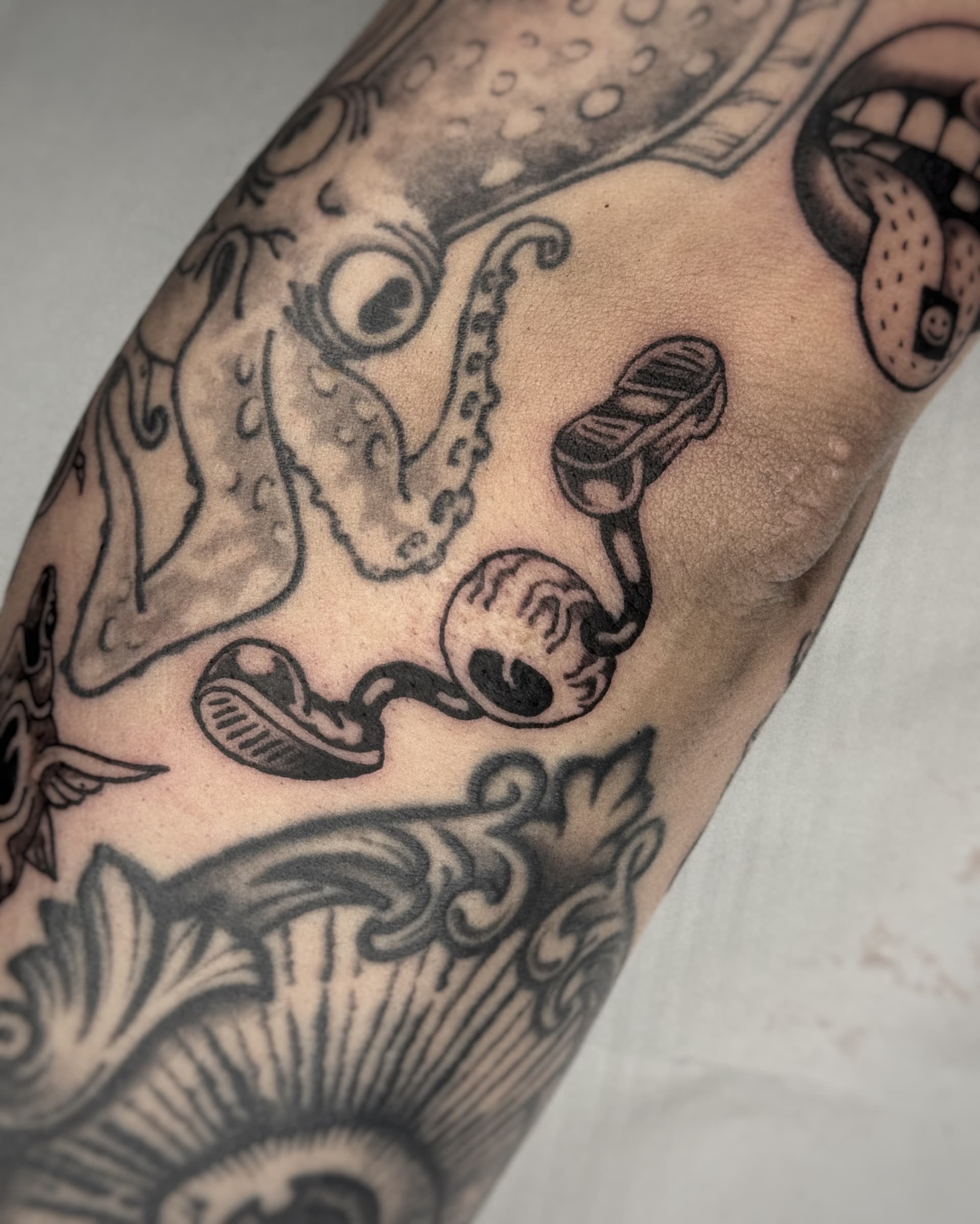 Mapache Studio - Artyści