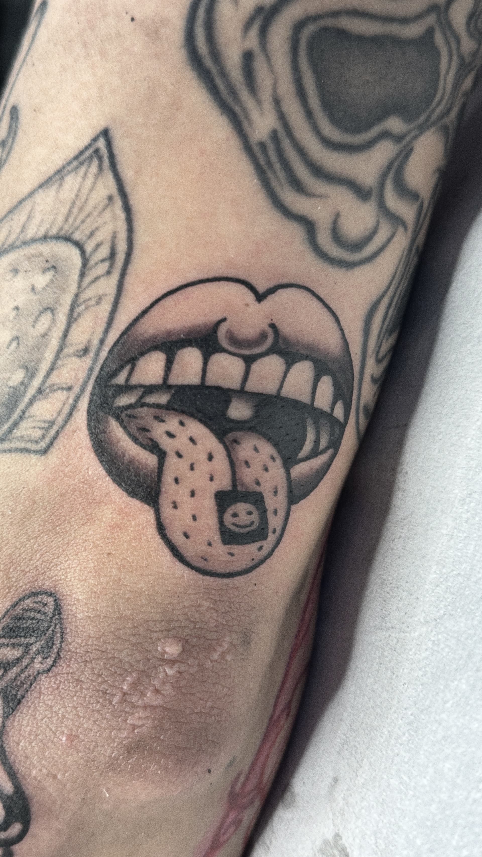 Mapache Studio - Artyści