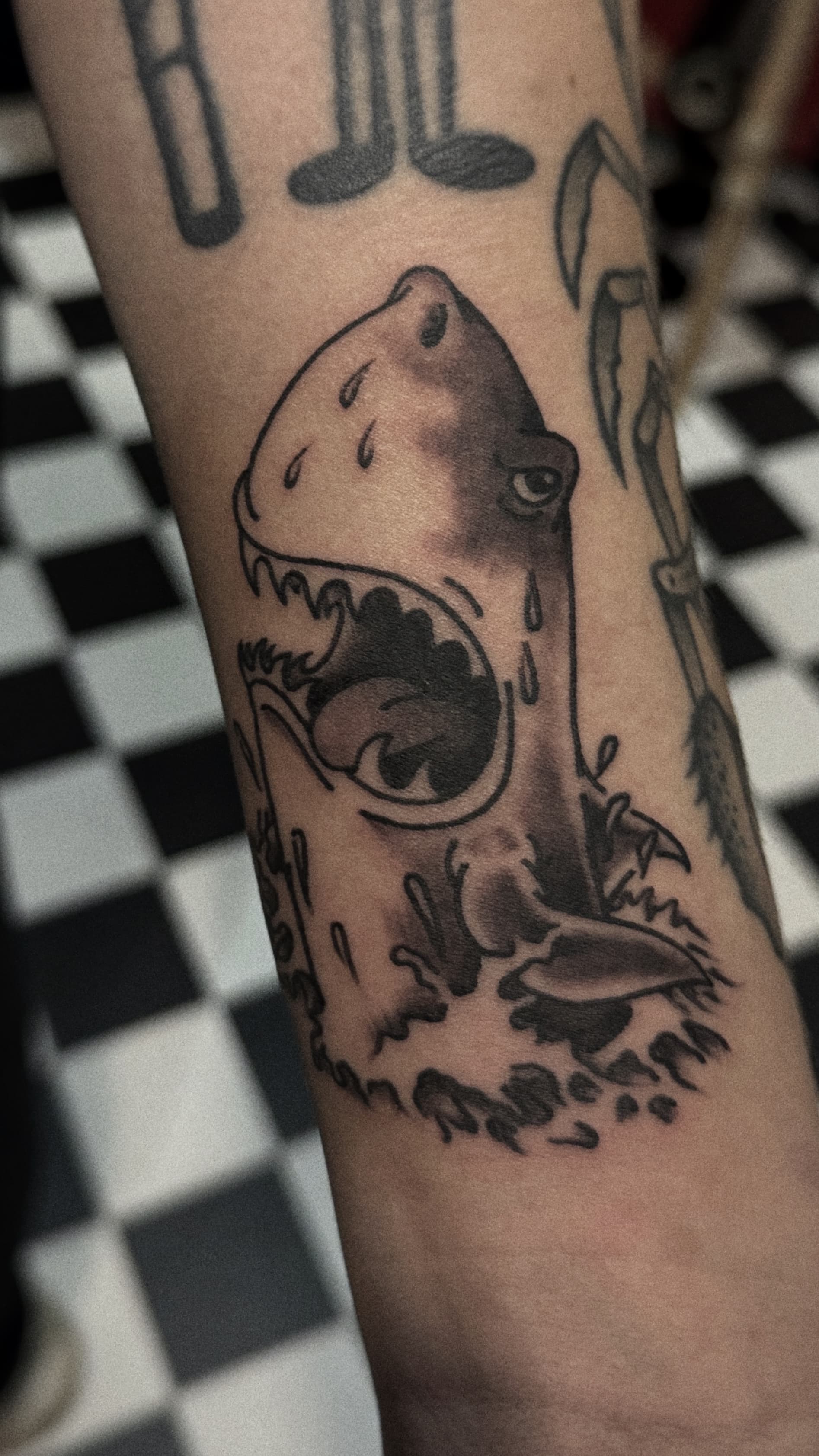 Mapache Studio - Artyści