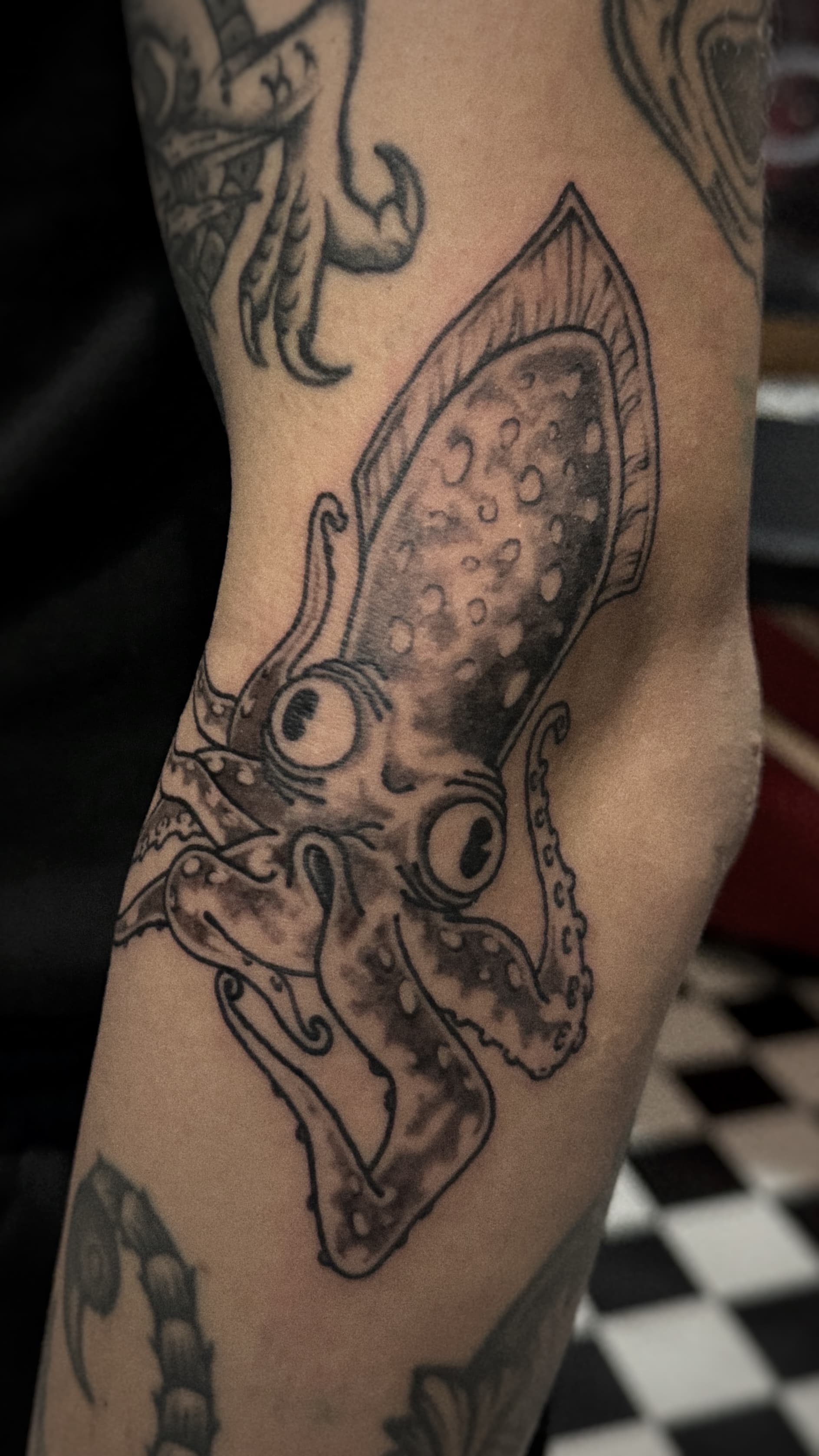 Mapache Studio - Artyści