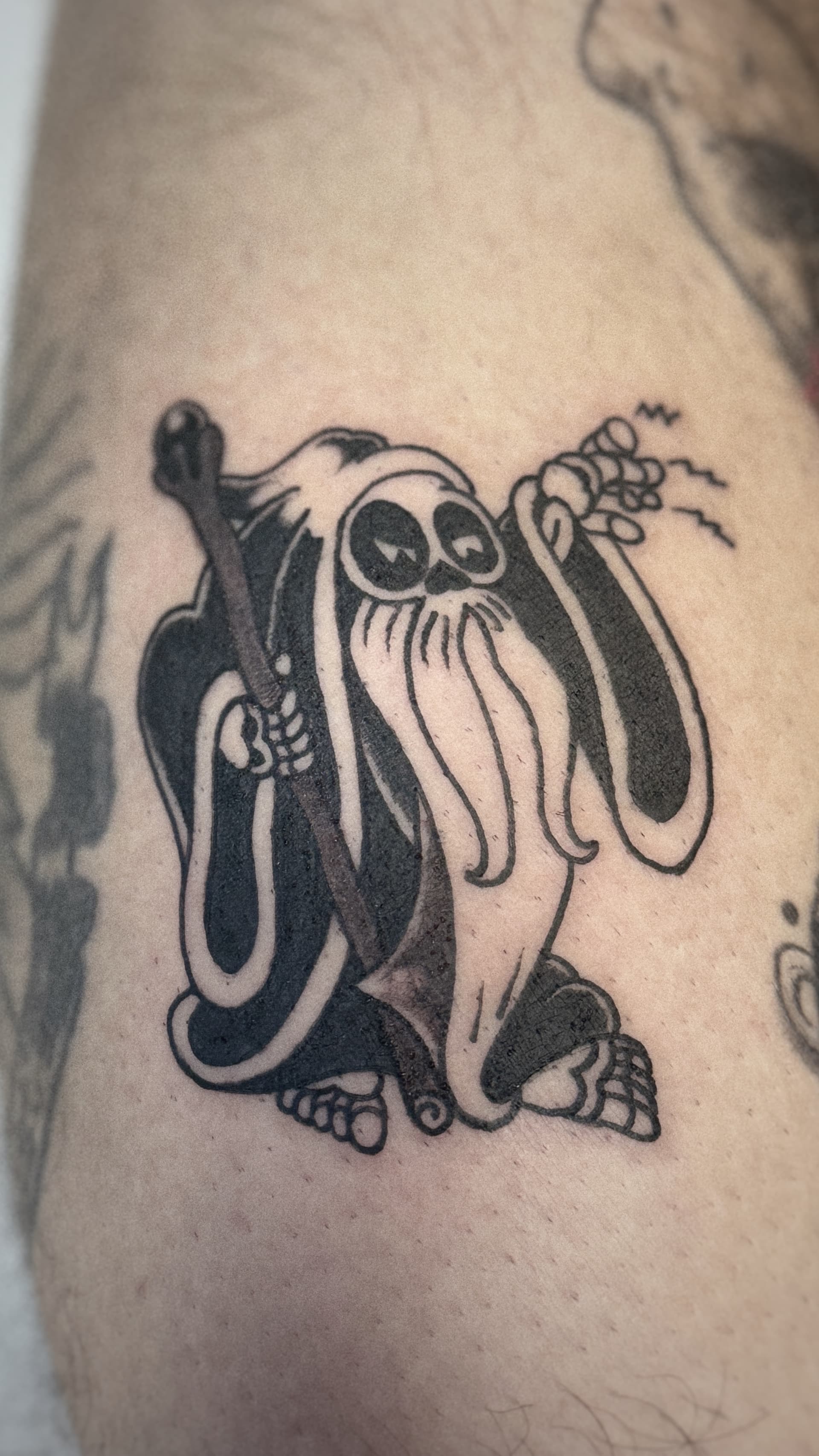 Mapache Studio - Artyści