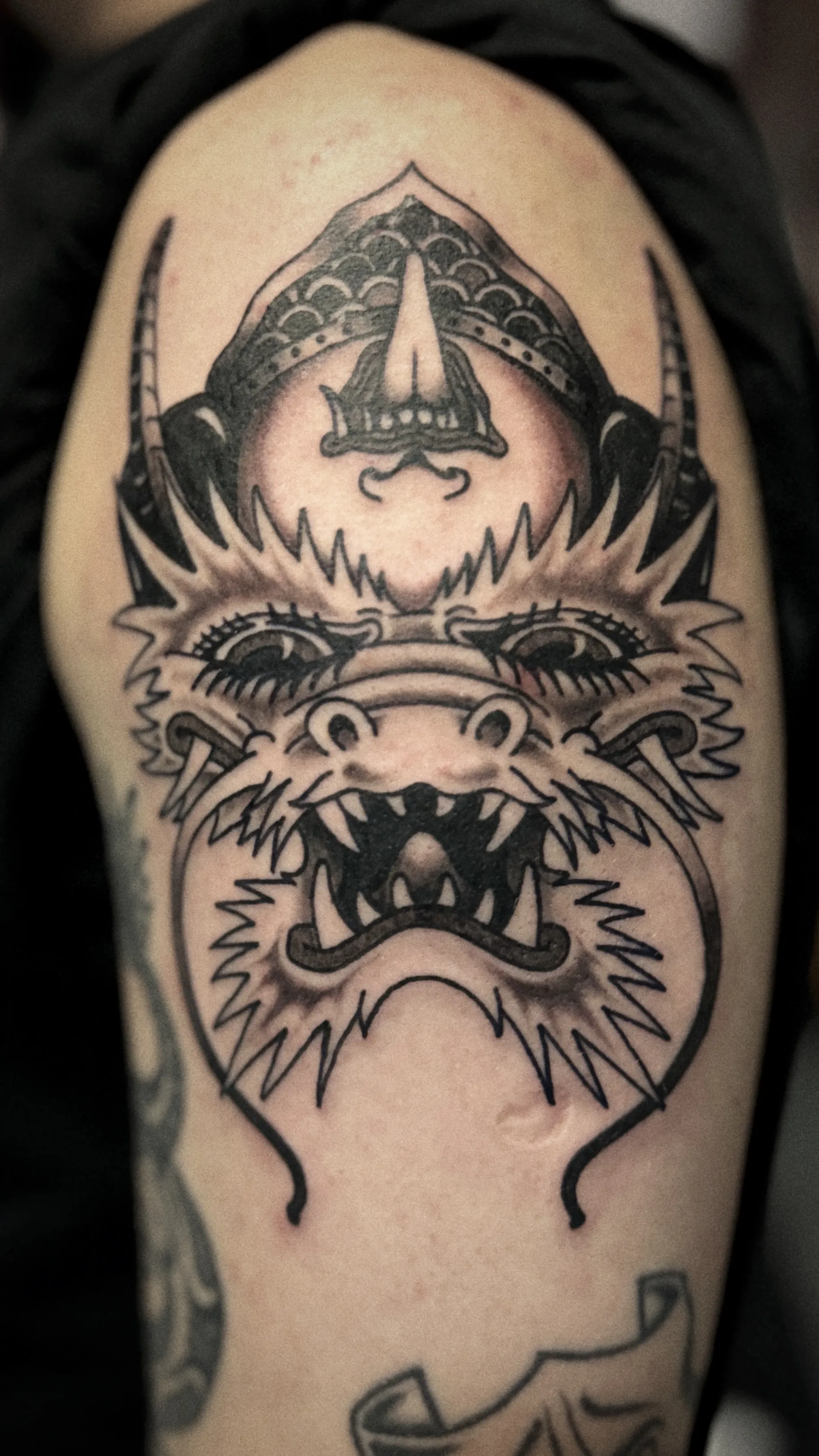 Mapache Studio - Artyści