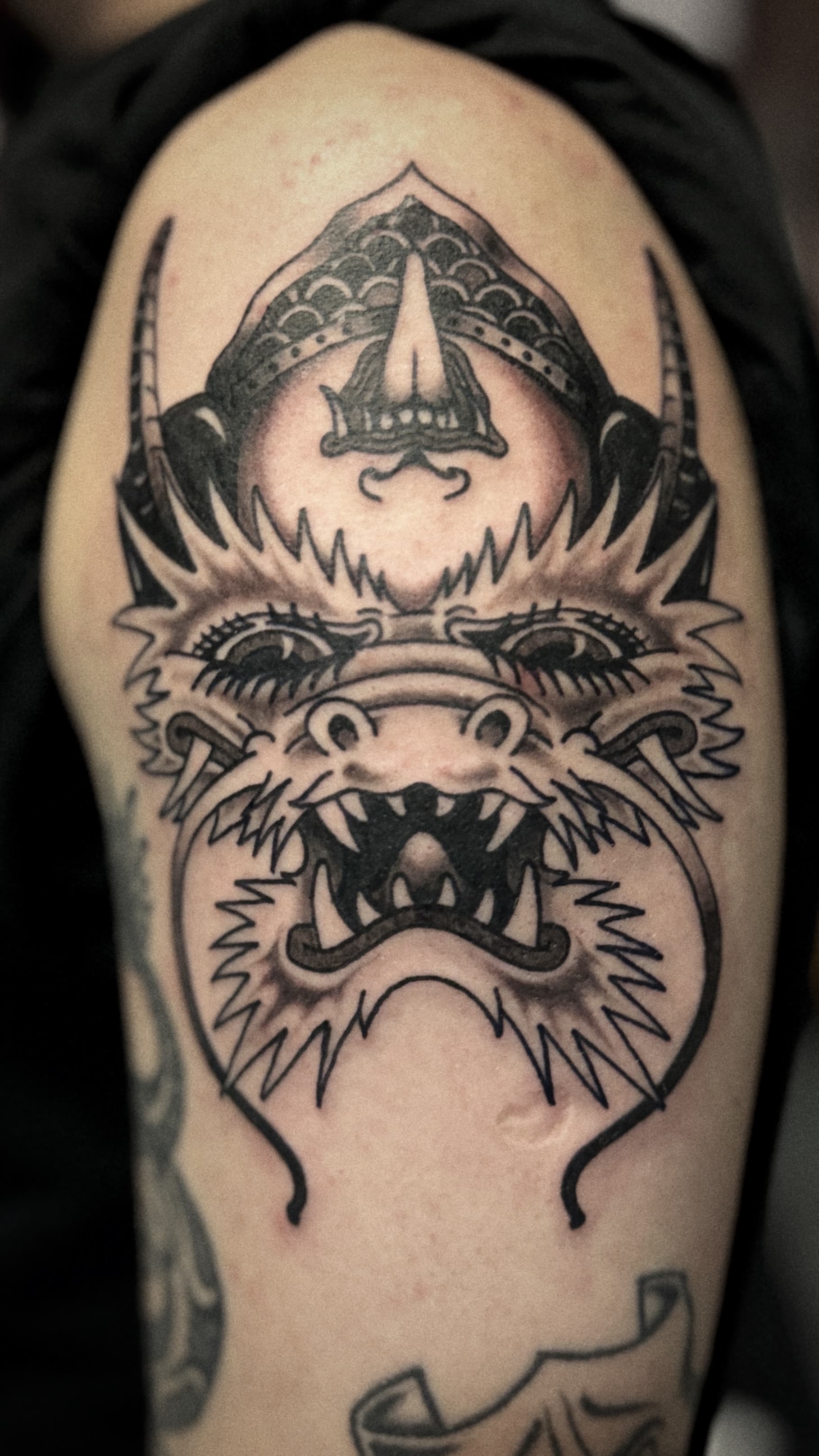 Mapache Studio - Artyści