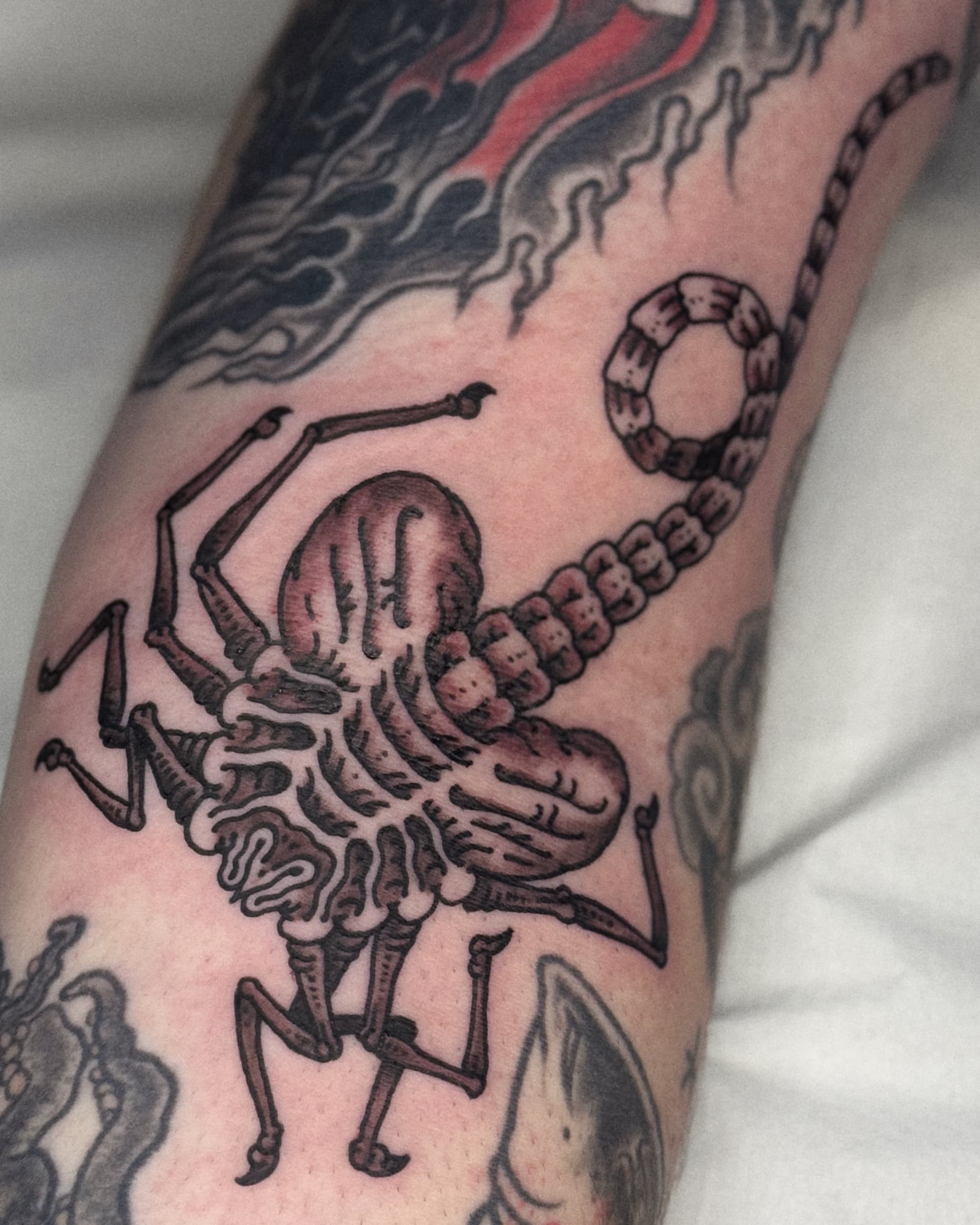 Mapache Studio - Artyści