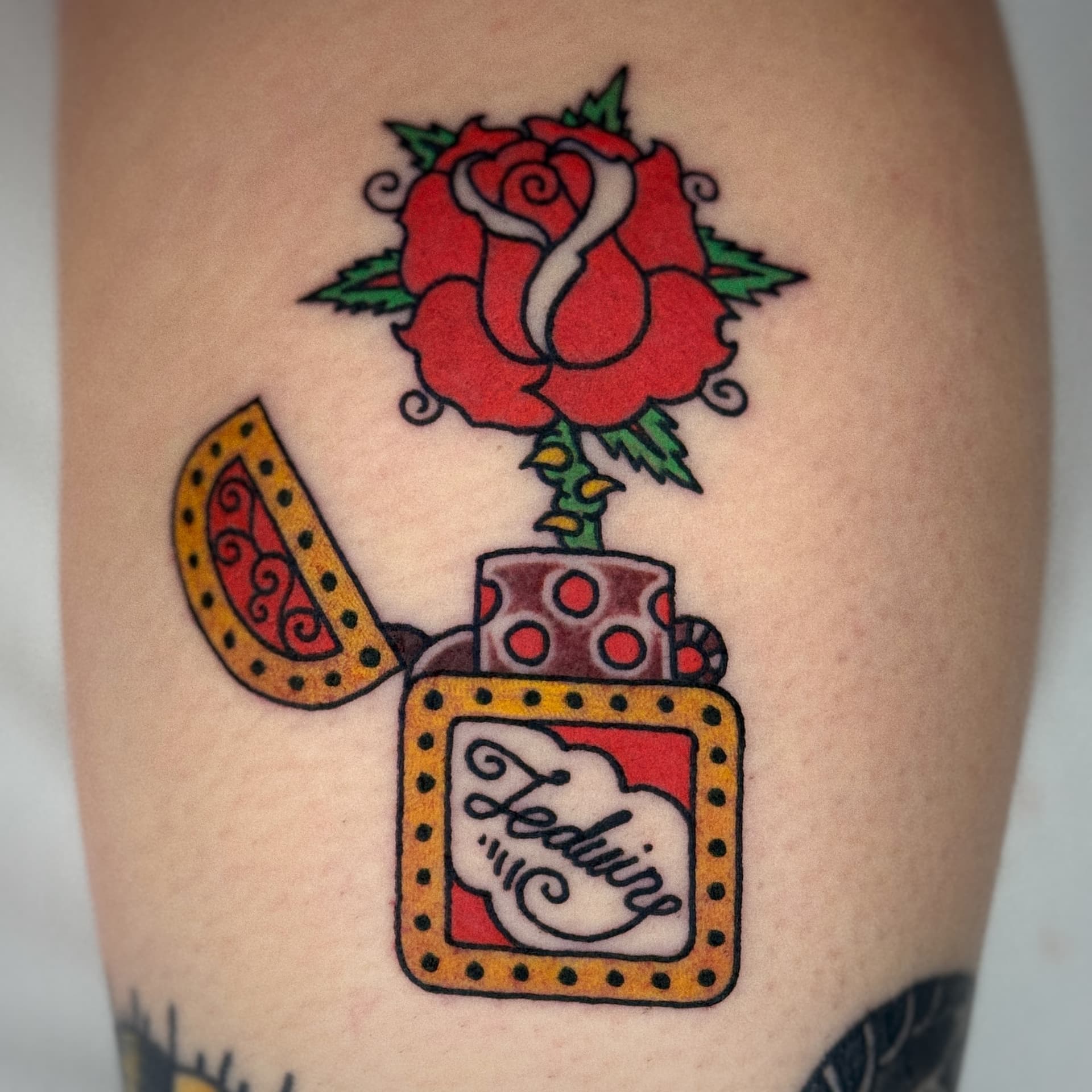 Mapache Studio - Artyści