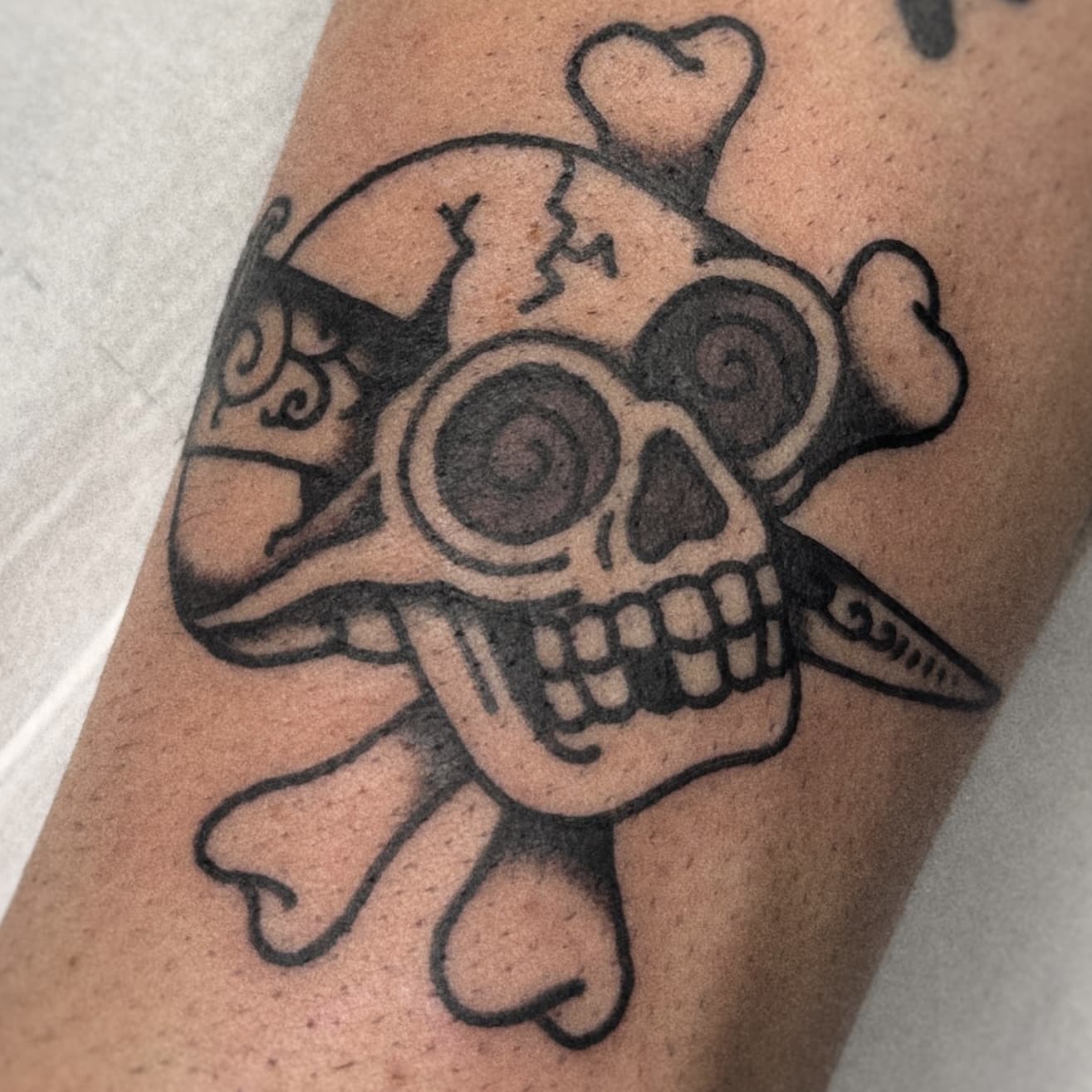 Mapache Studio - Artyści