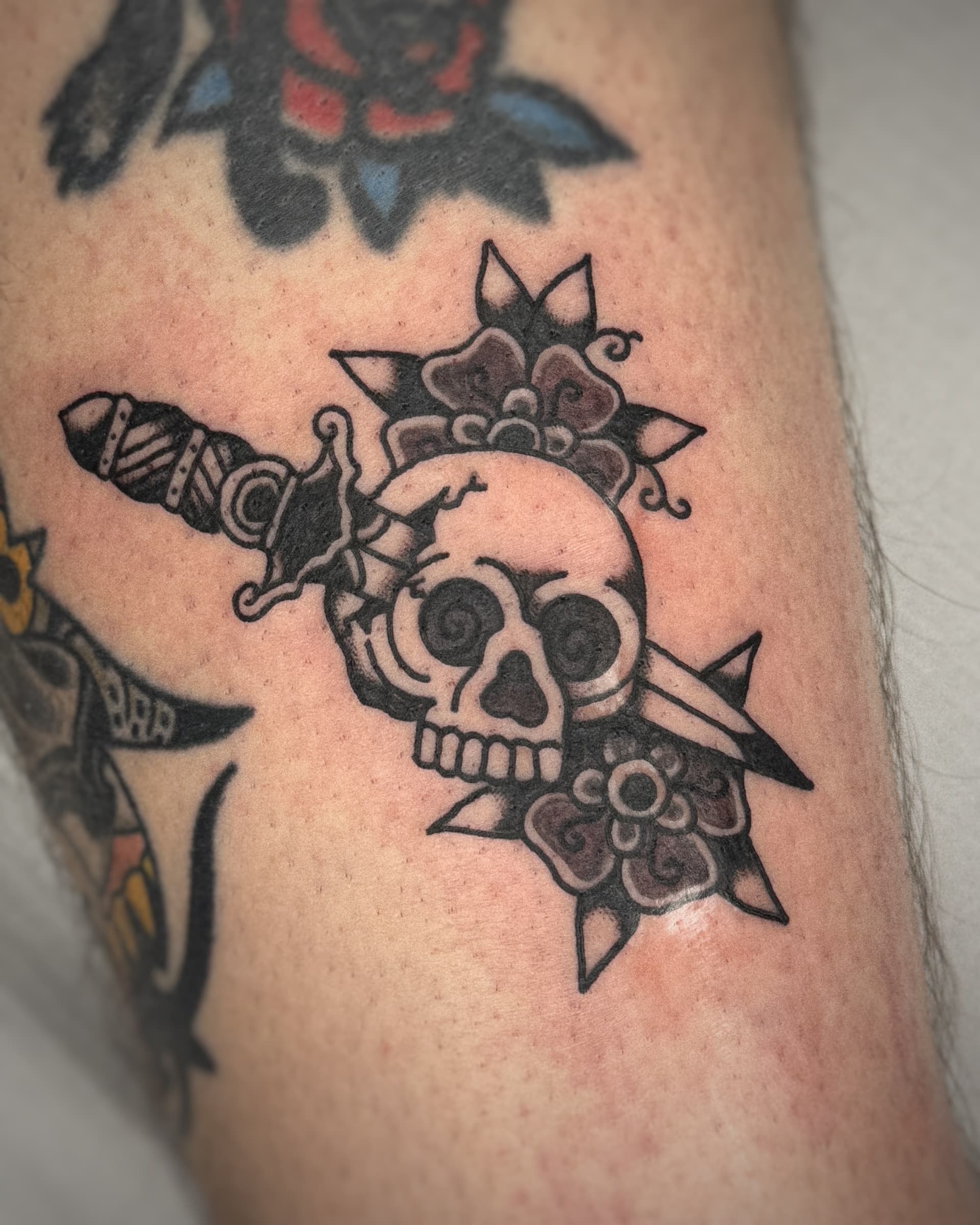 Mapache Studio - Artyści