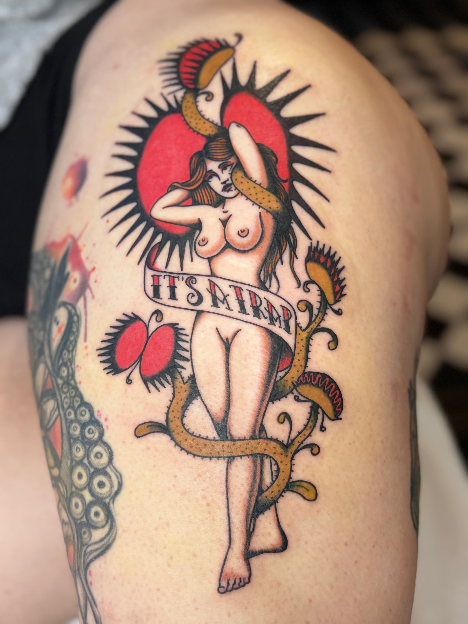 Mapache Studio - Artyści