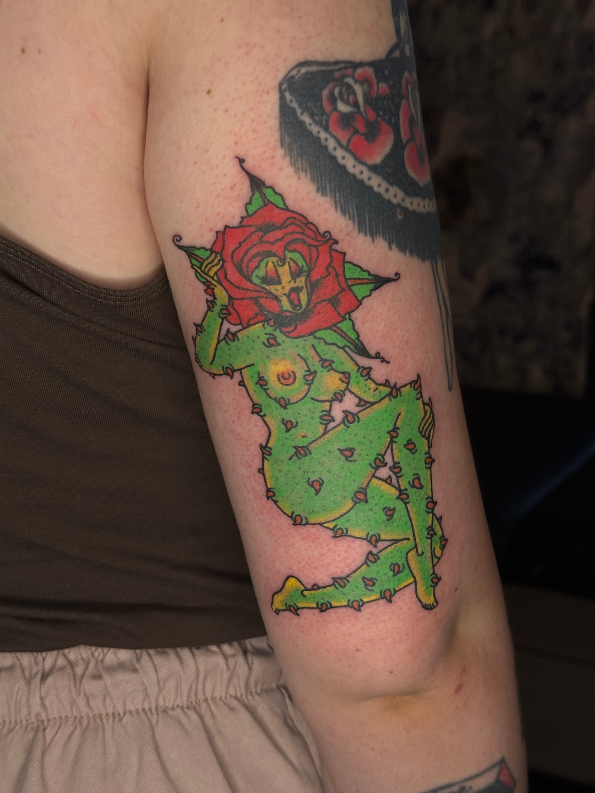 Mapache Studio - Artyści