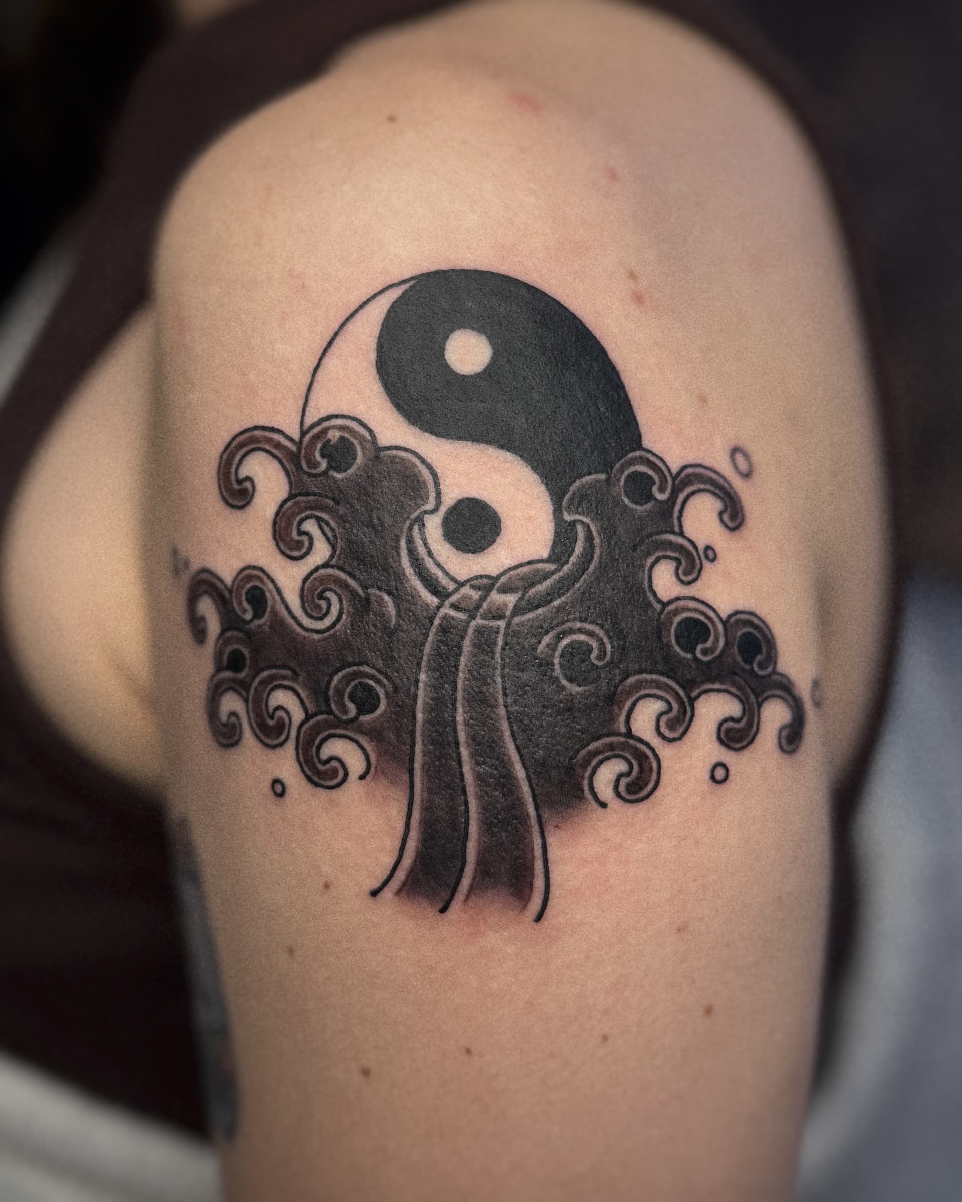 Mapache Studio - Artyści