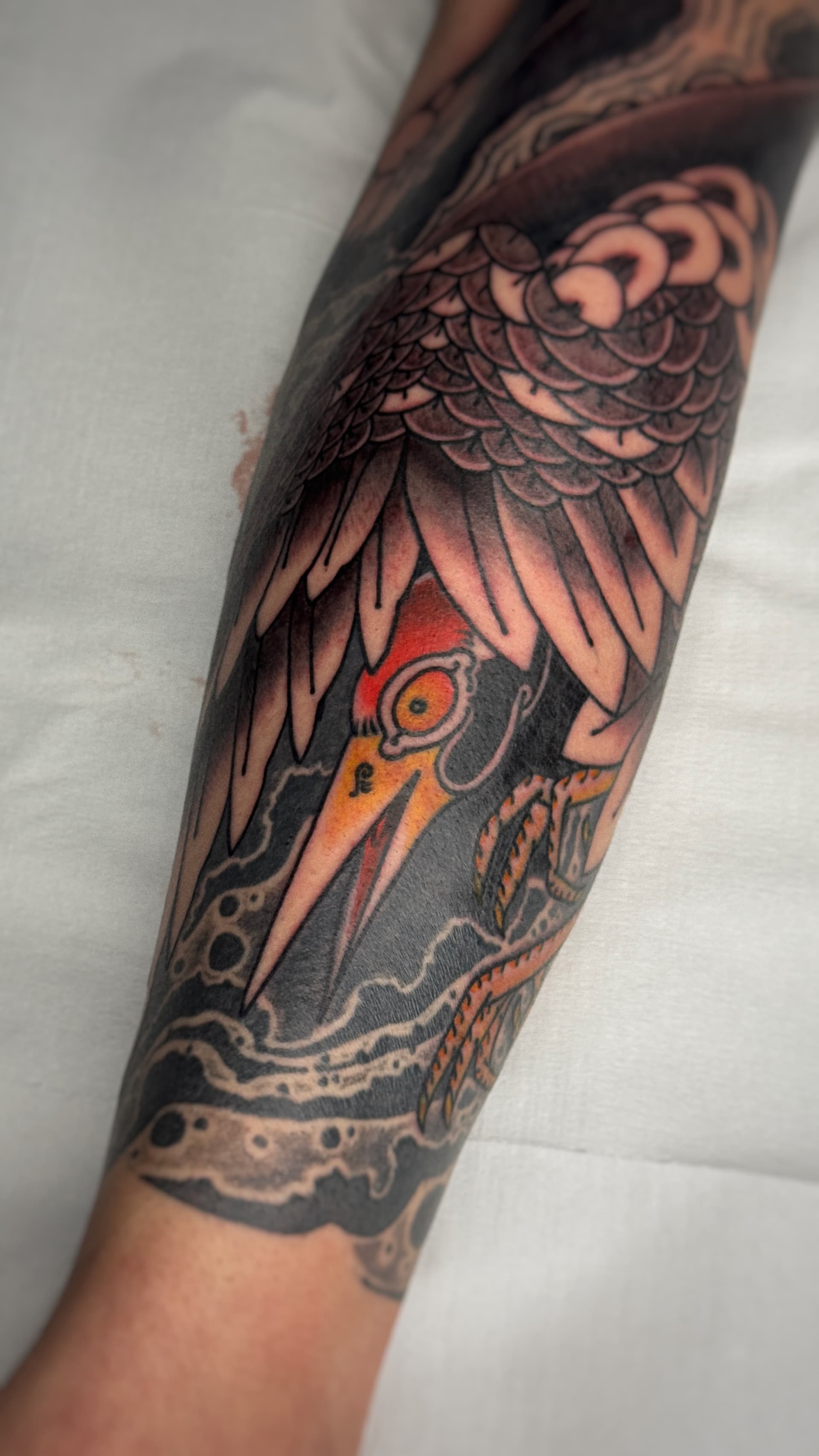 Mapache Studio - Artyści