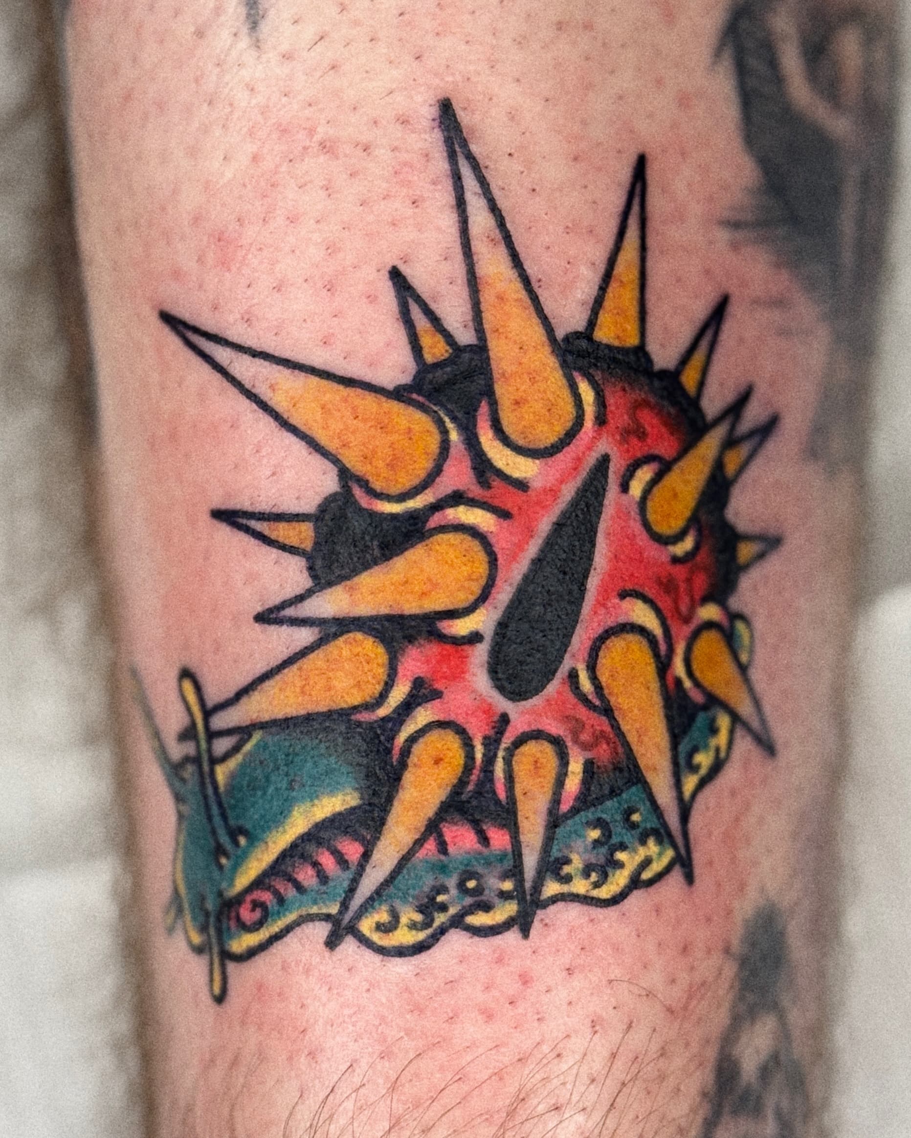 Mapache Studio - Artyści