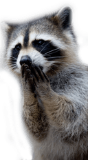 Blackuintatuin - Instagram