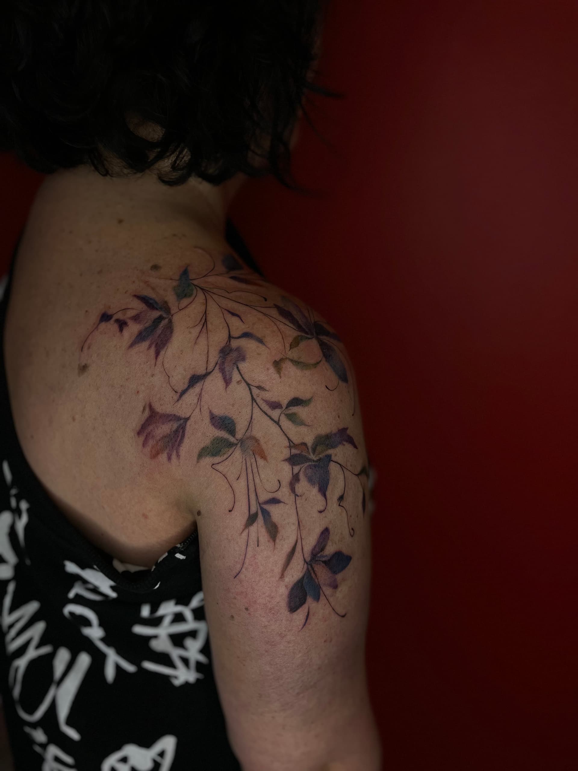 Mapache Studio - Artyści