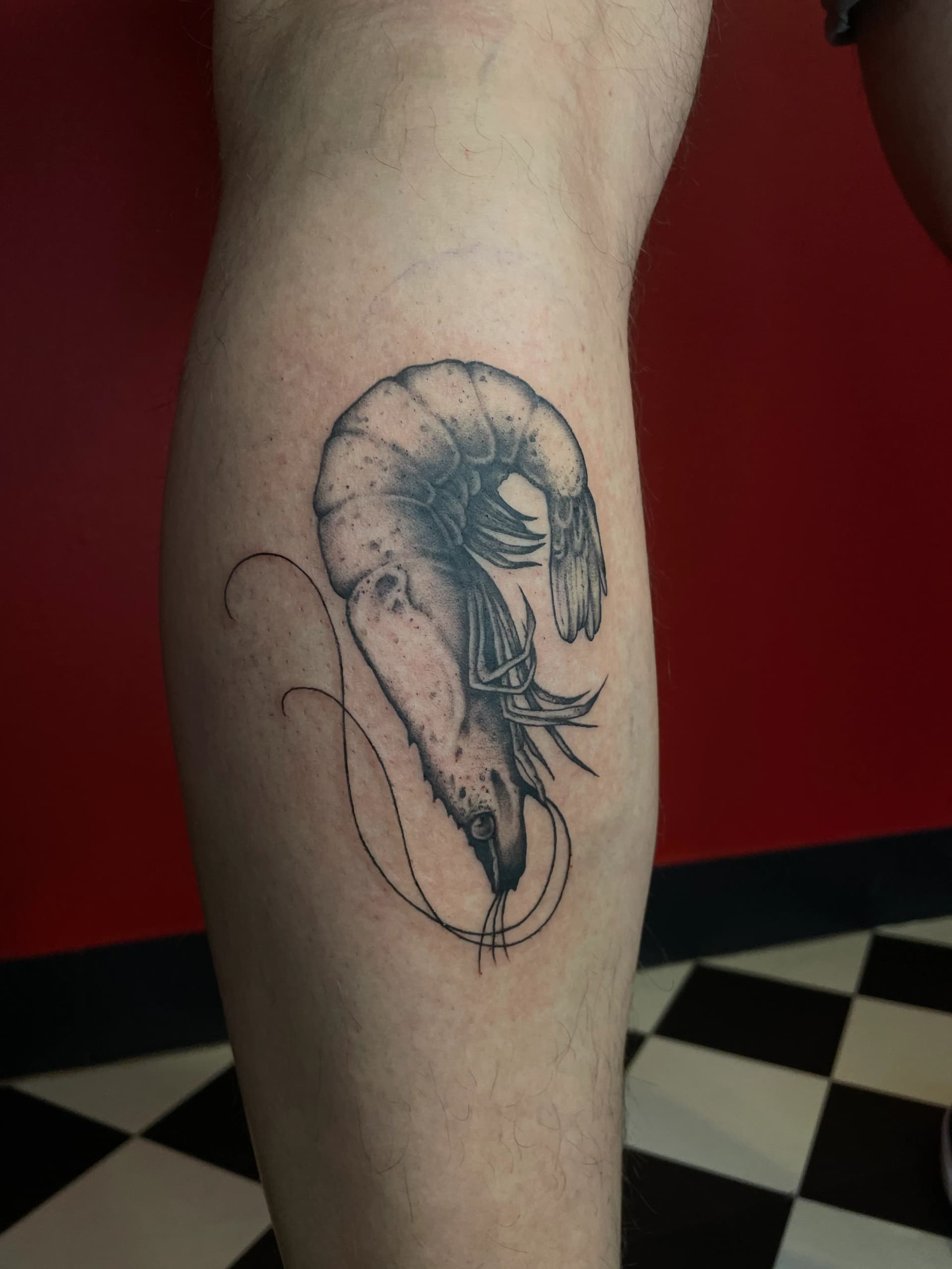 Mapache Studio - Artyści