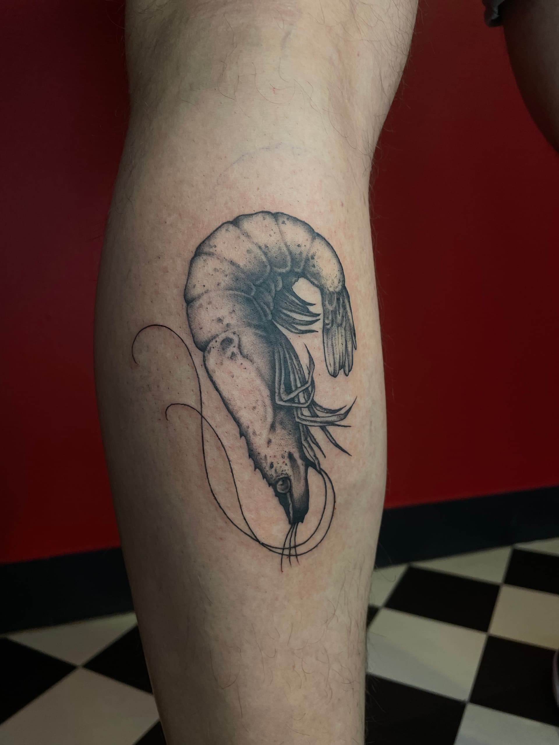 Mapache Studio - Artyści