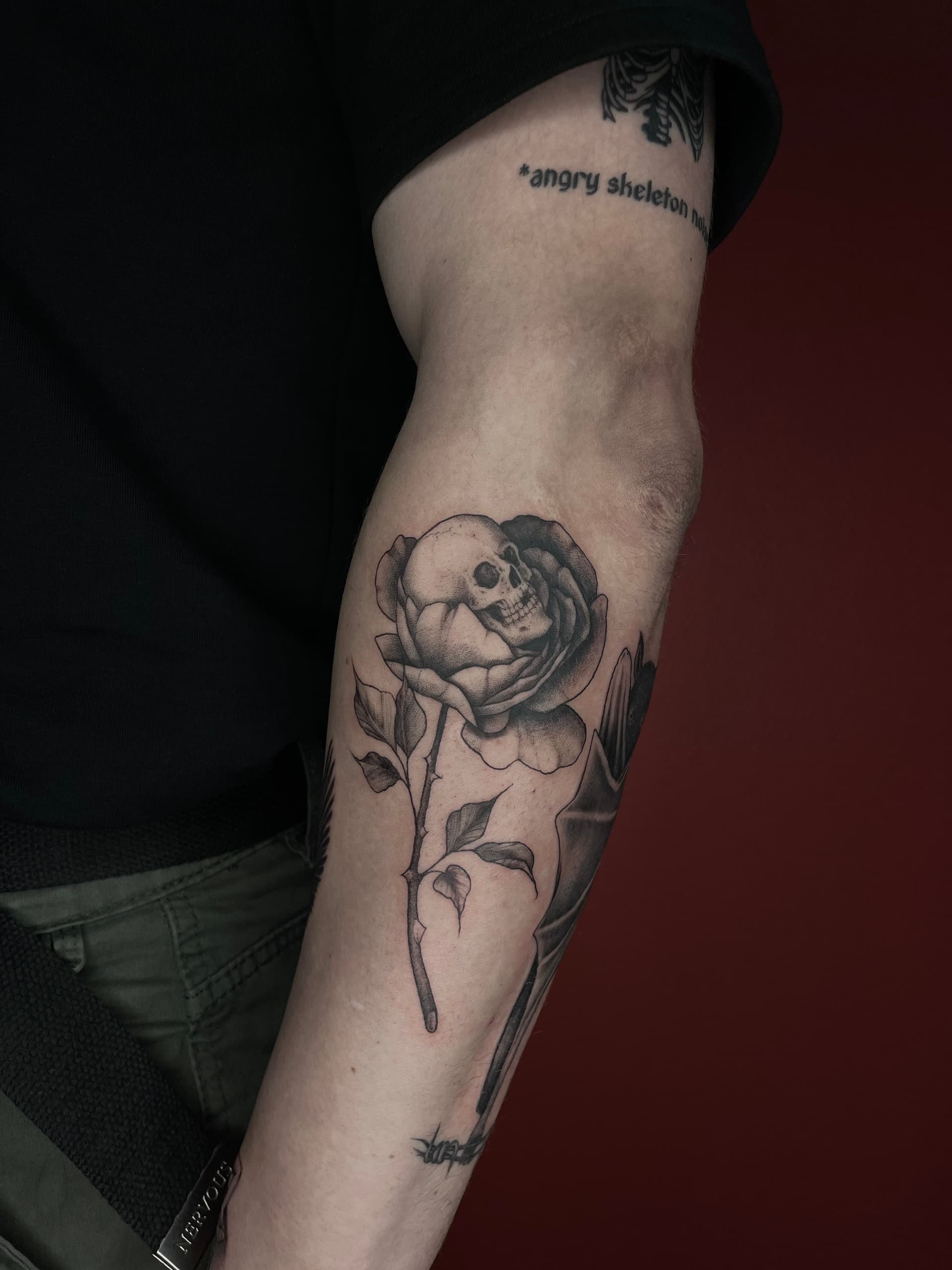 Mapache Studio - Artyści