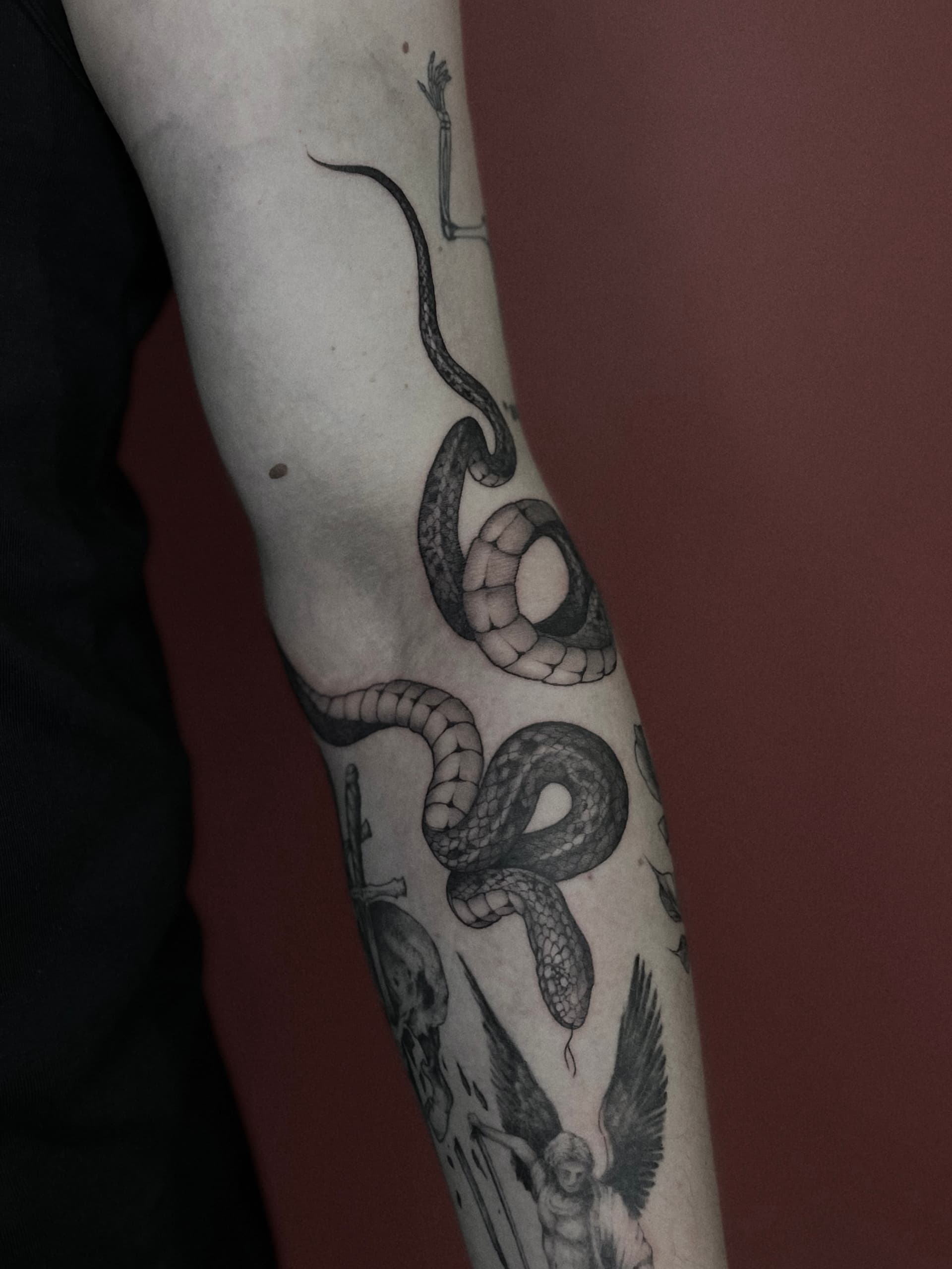 Mapache Studio - Artyści