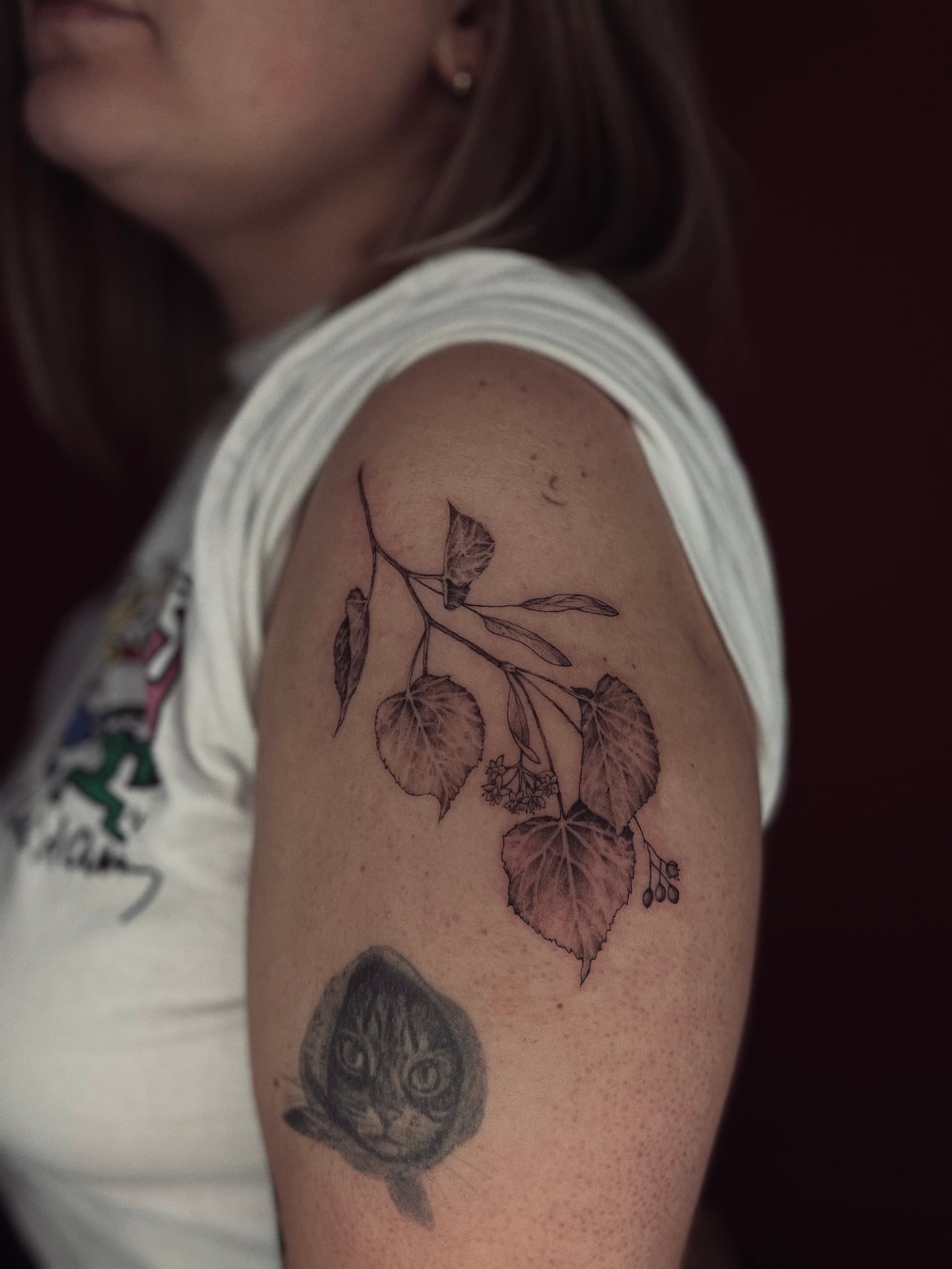 Mapache Studio - Artyści