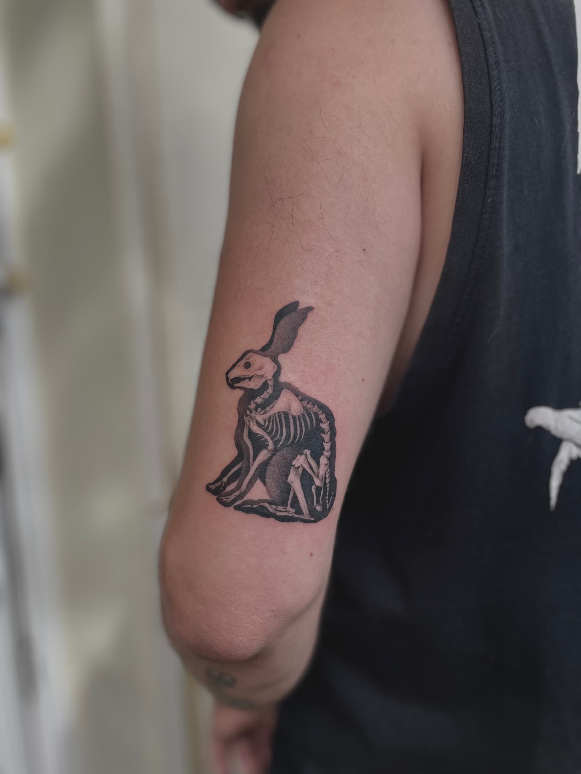 Mapache Studio - Artyści