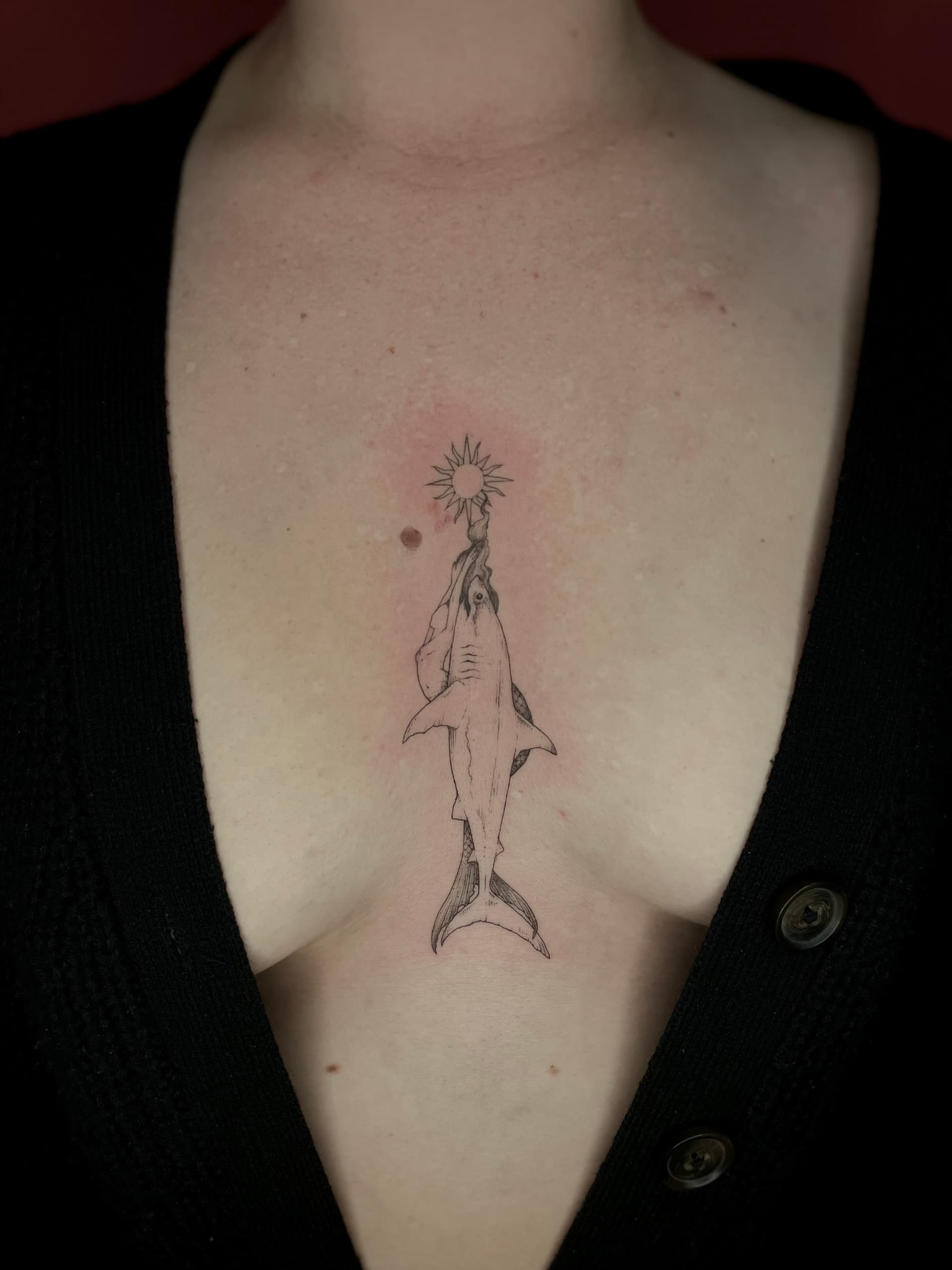 Mapache Studio - Artyści