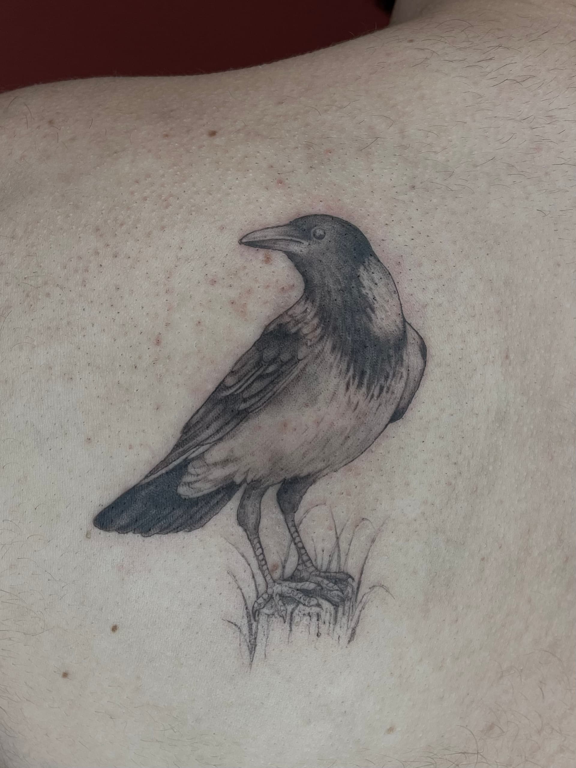 Mapache Studio - Artyści